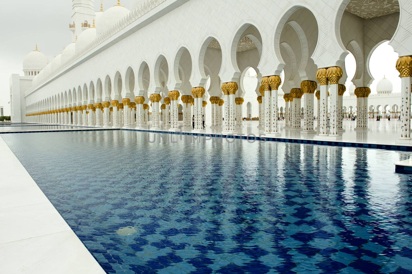 pool of Grand Mosque in Abu Dhabi by jackq