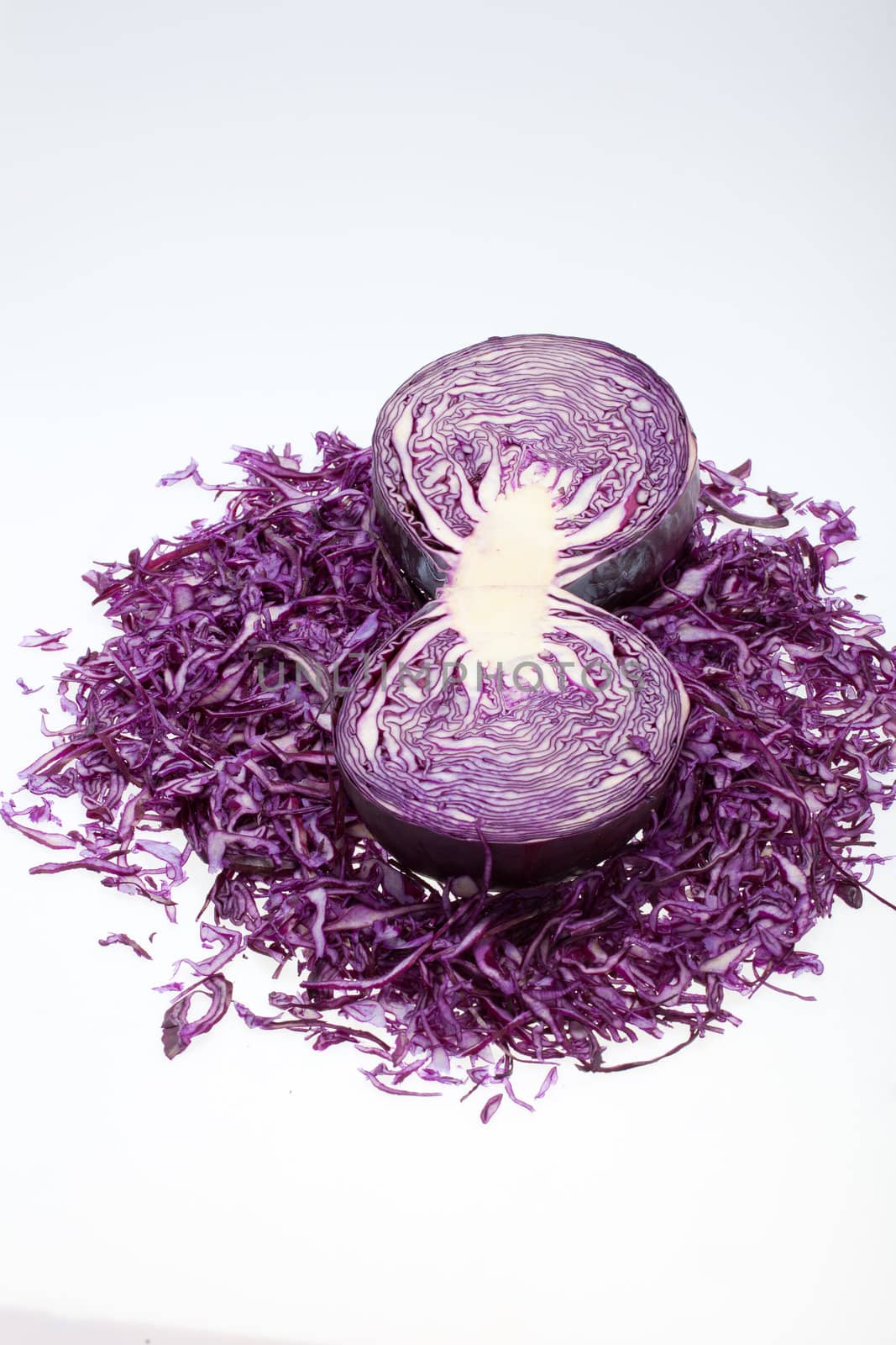  Red  Cabbage  on White Background 
