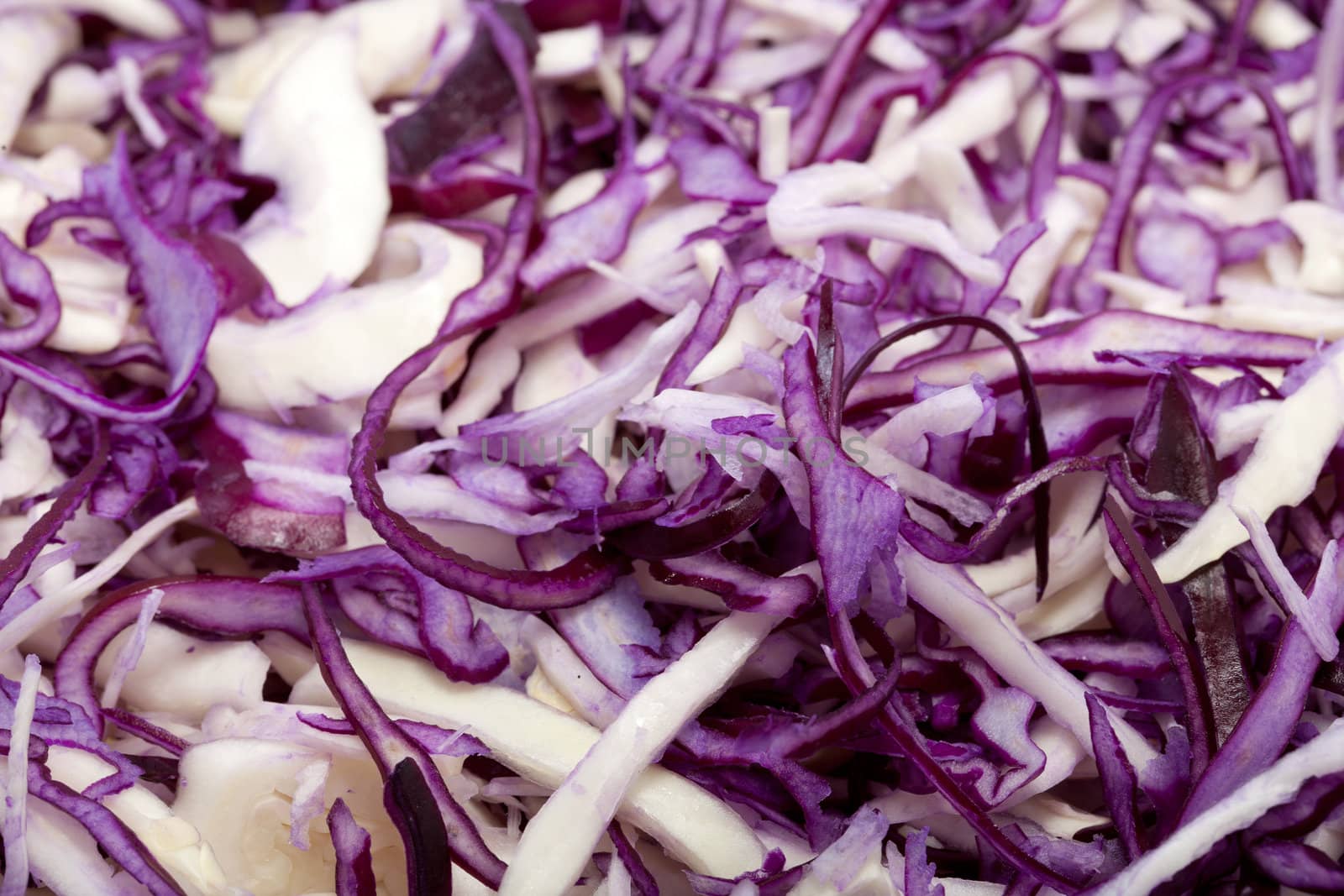 White and Red  Cabbage