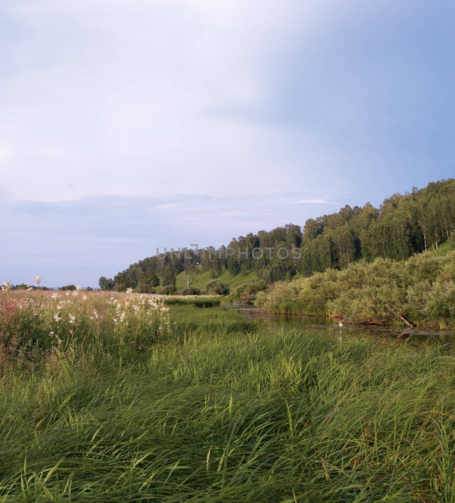 Kind on small lake in summer day