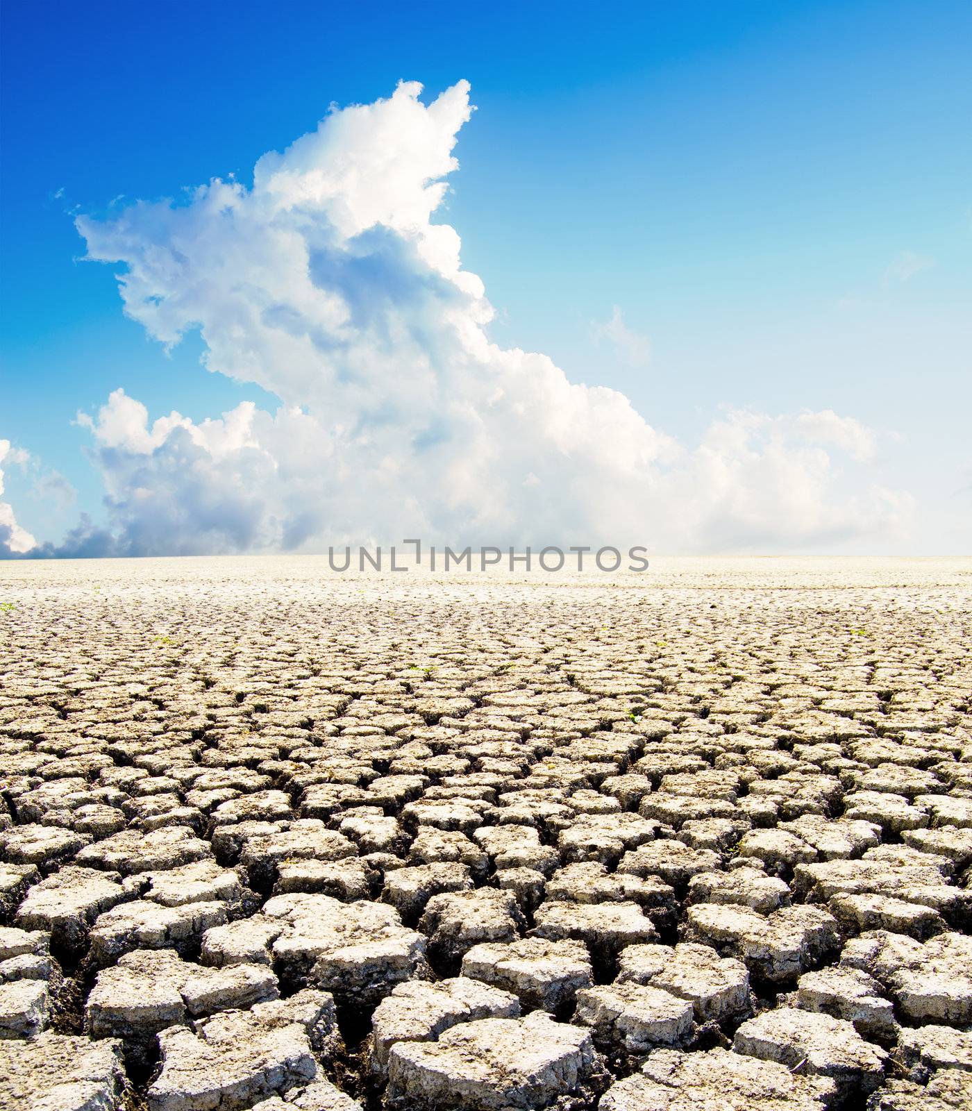 land with dry cracked ground under blue sky by mycola