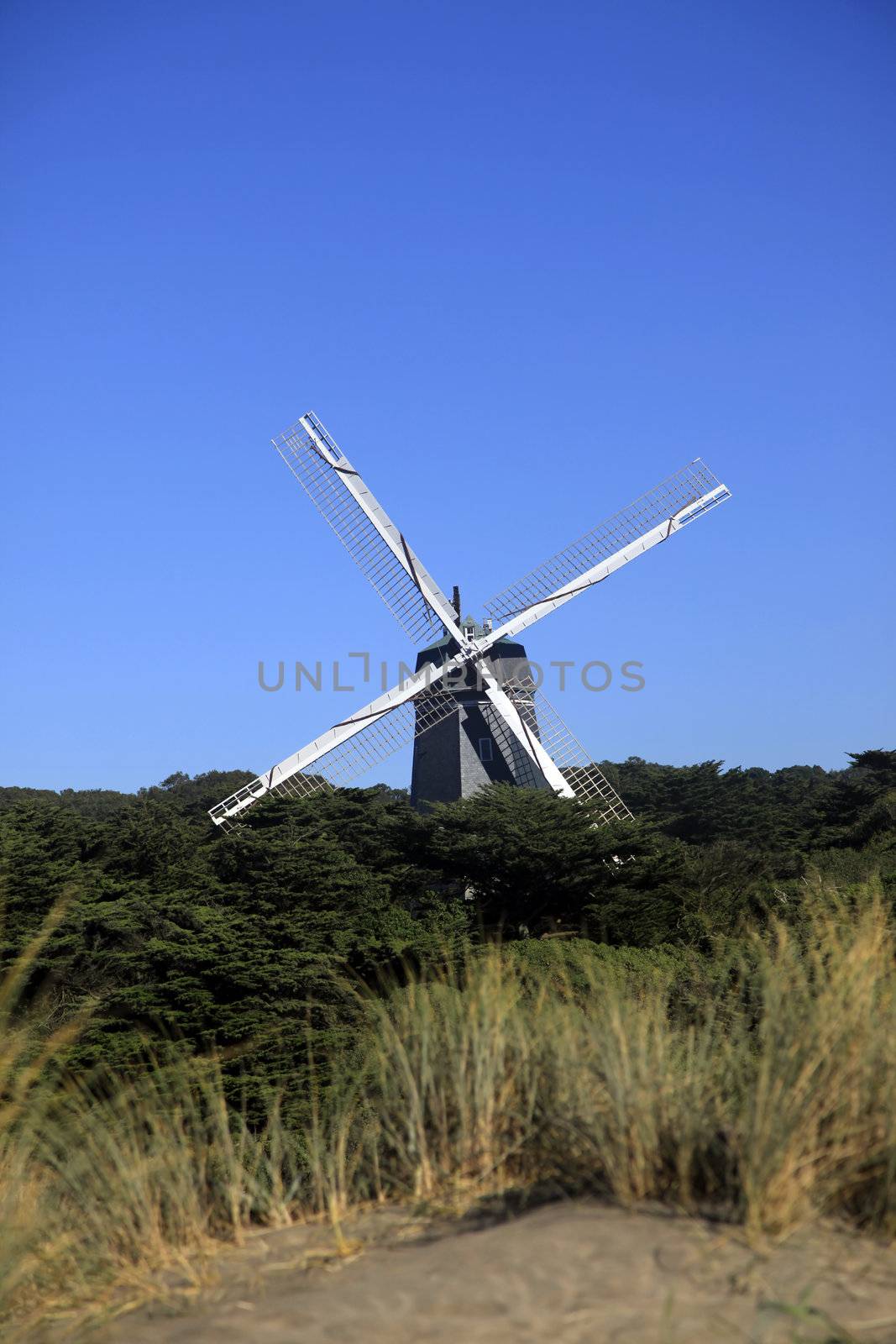 Windmill in Golden Gate Park. San Francisco