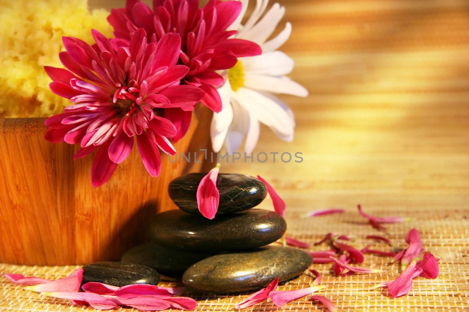  Aromatherapy with pink and white chrysanthemums,natural stones for relaxation