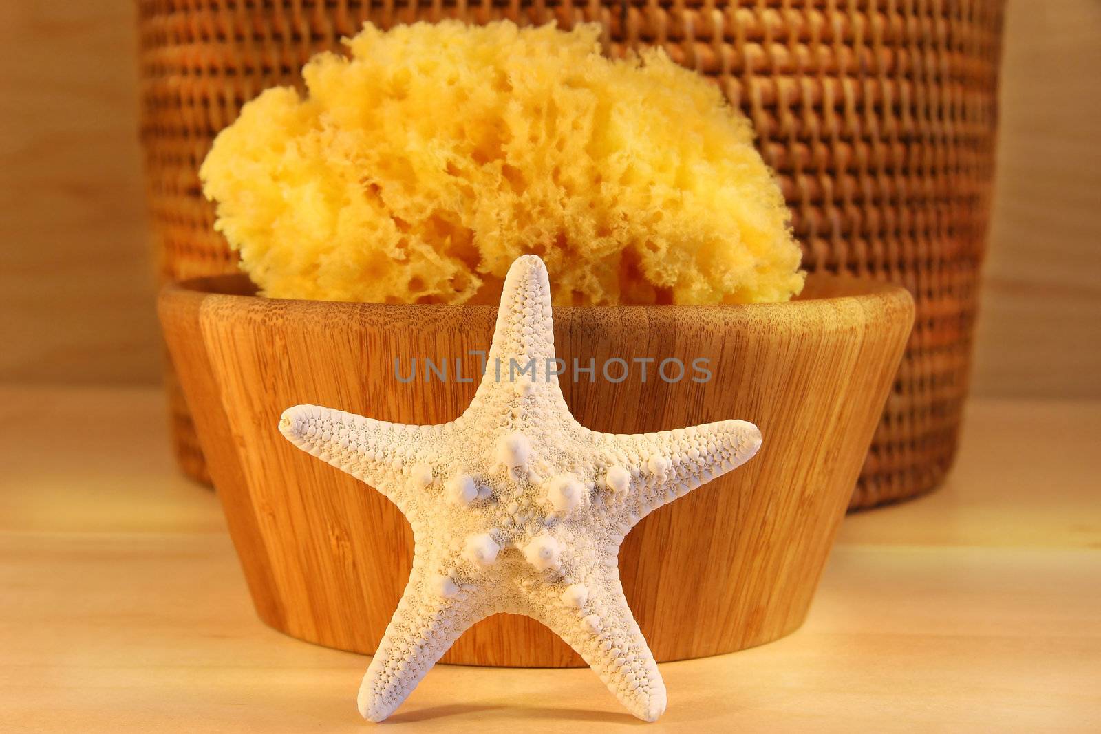 Little white starfish and sponge ready on wooden background