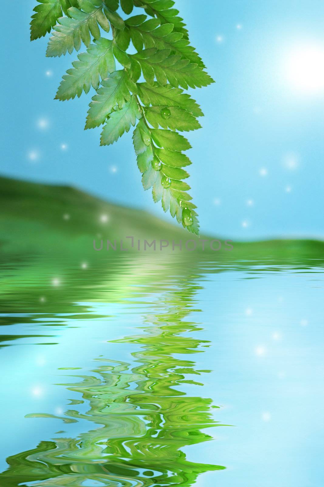 Green ferns with fireflies and water reflection