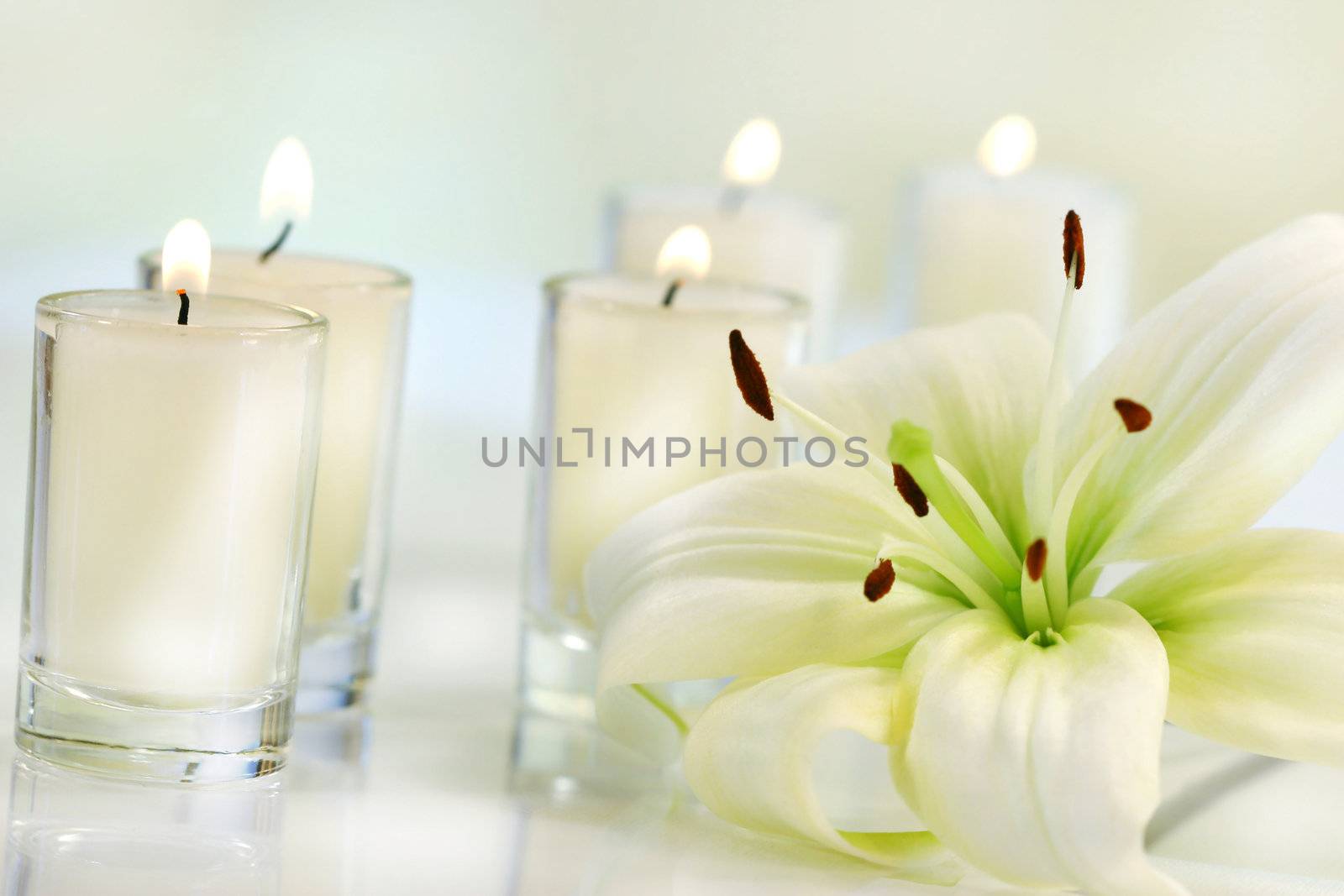 Lily flower with candle on pale background