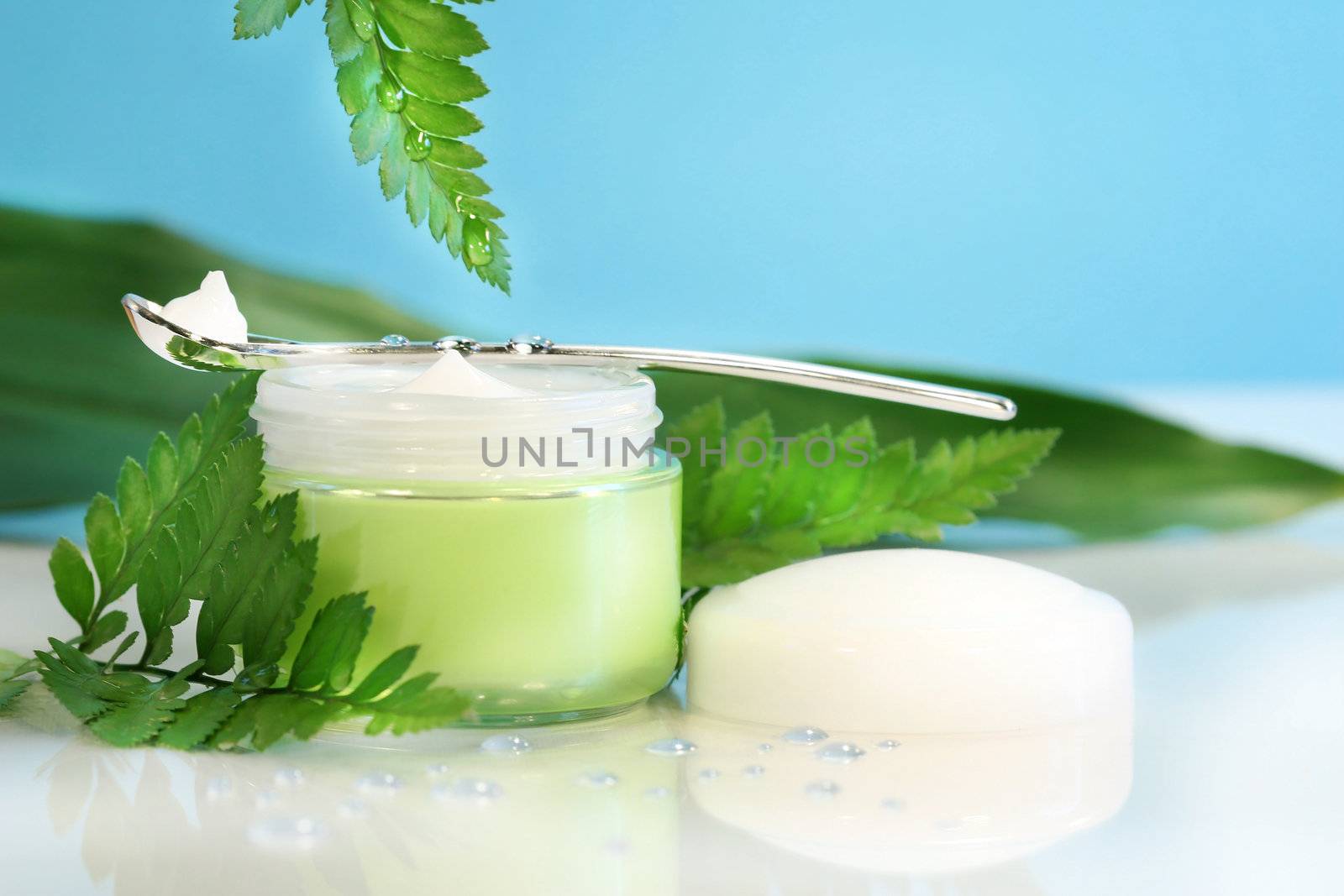 Rejuvenating face cream with ferns and droplets of water