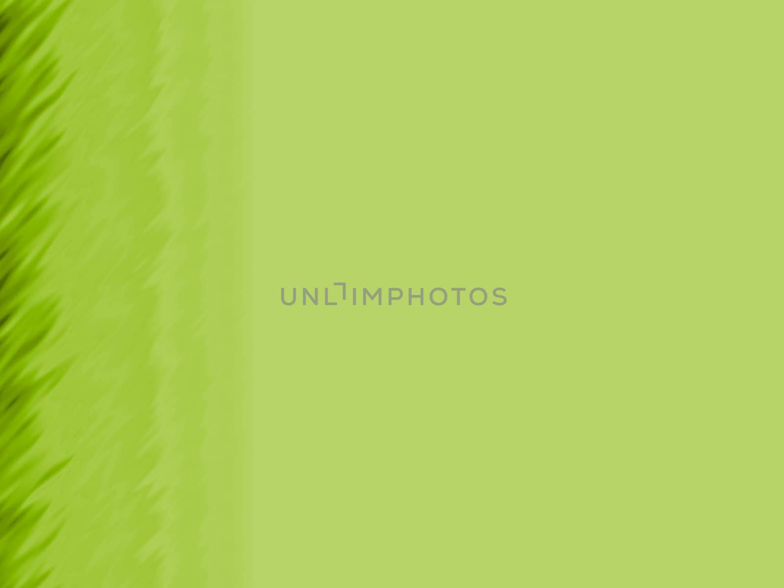An abstract illustration of a grass green background.