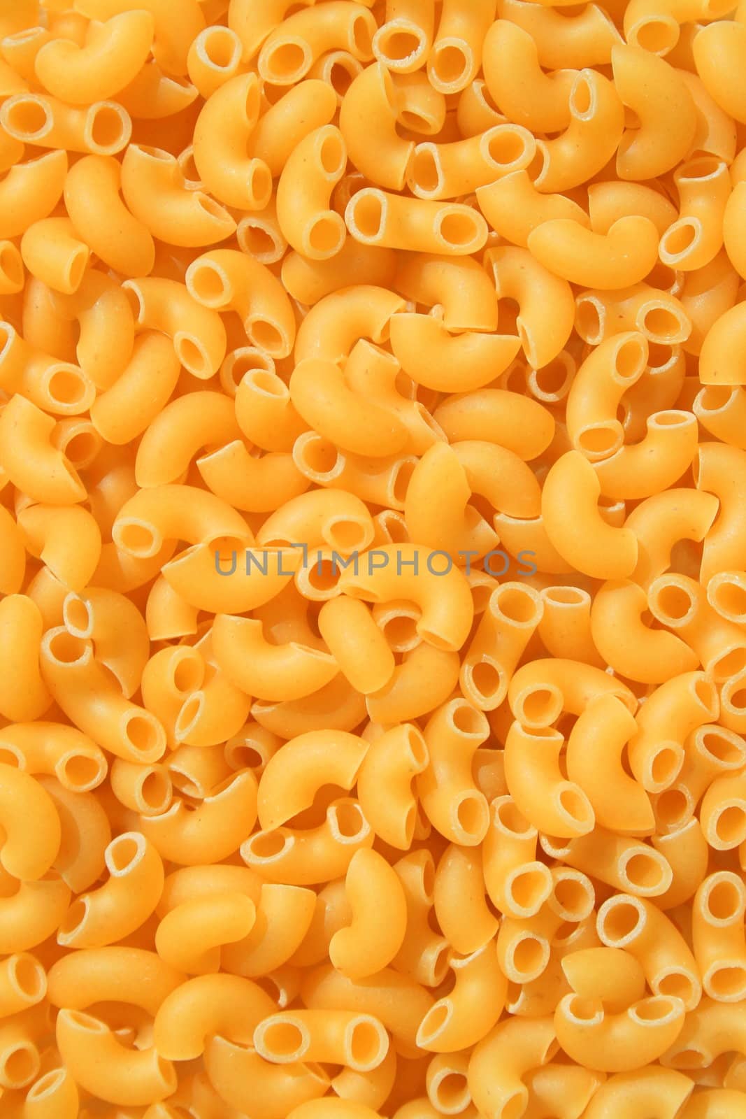 Close up of a pasta on a plate.
