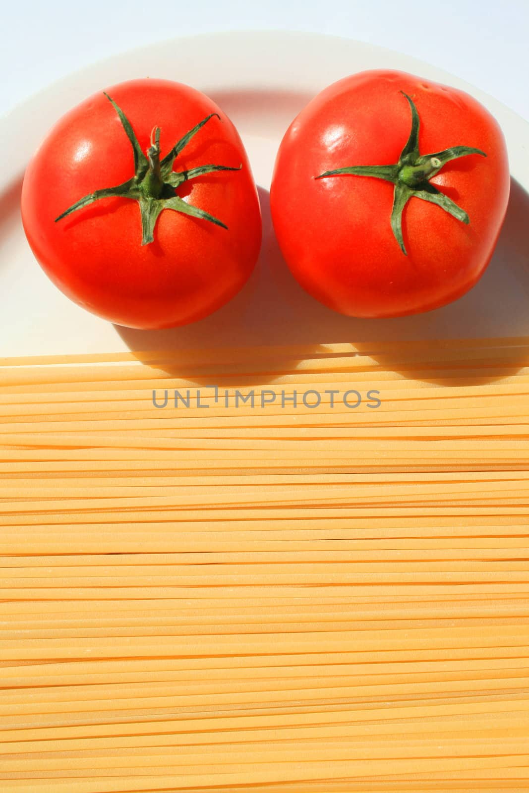 Close up of a pasta and tomatos on a plate.
