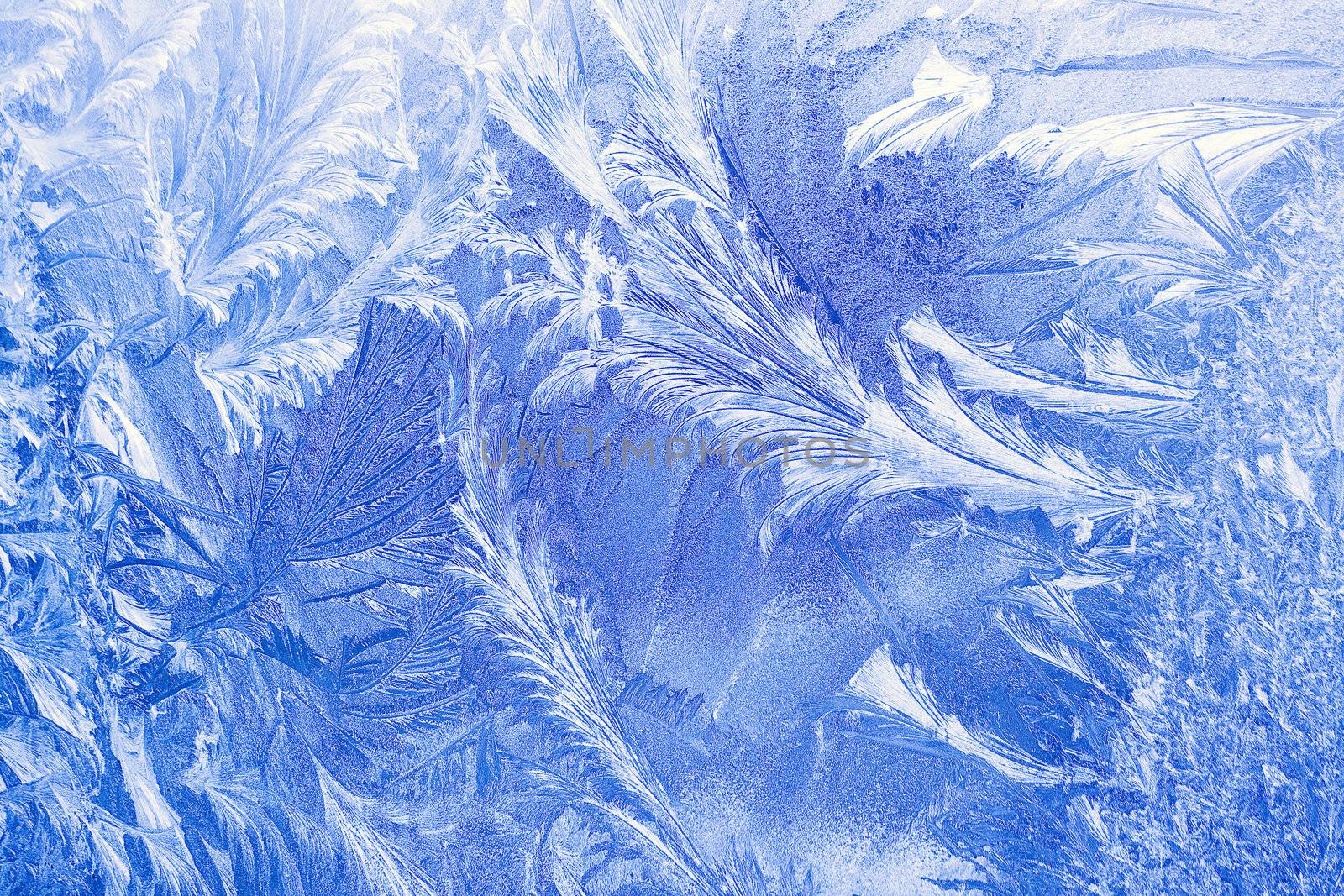 Ice pattern on a window in winter time by gavran333