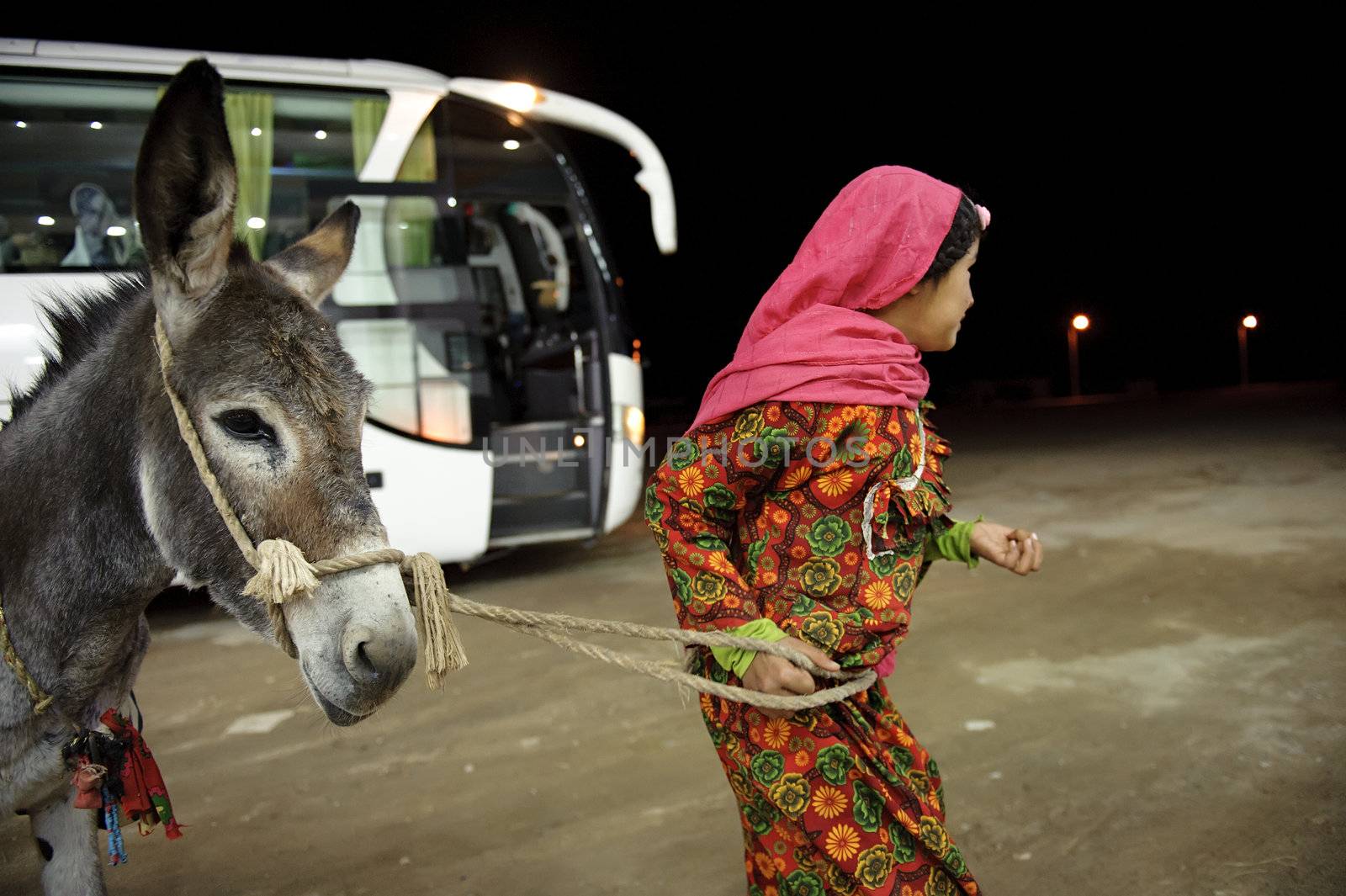 HURGHADA - JAN 29: arab girl pulling a donkey in a street at night.Jan 29,2013 in Hurghada,Egypt.