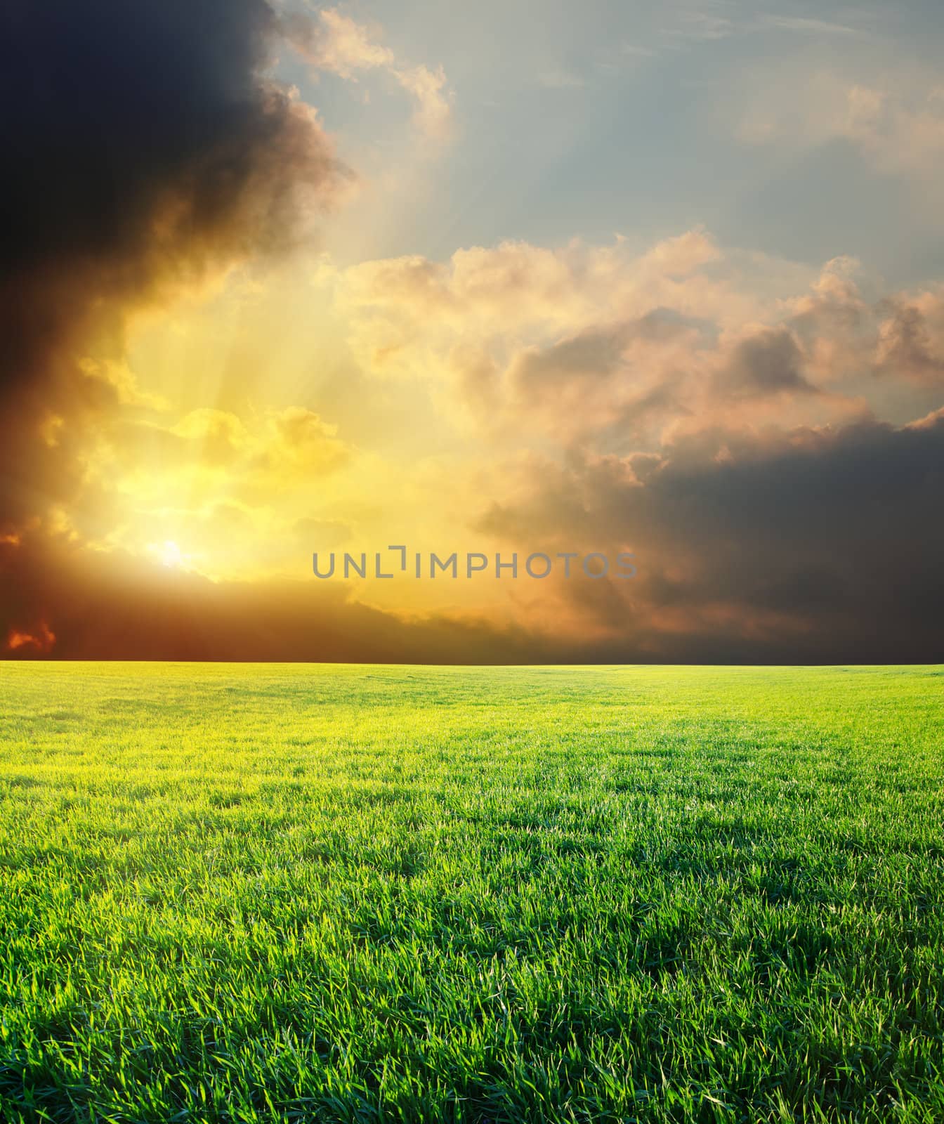 sunset in dramatic sky over green field by mycola