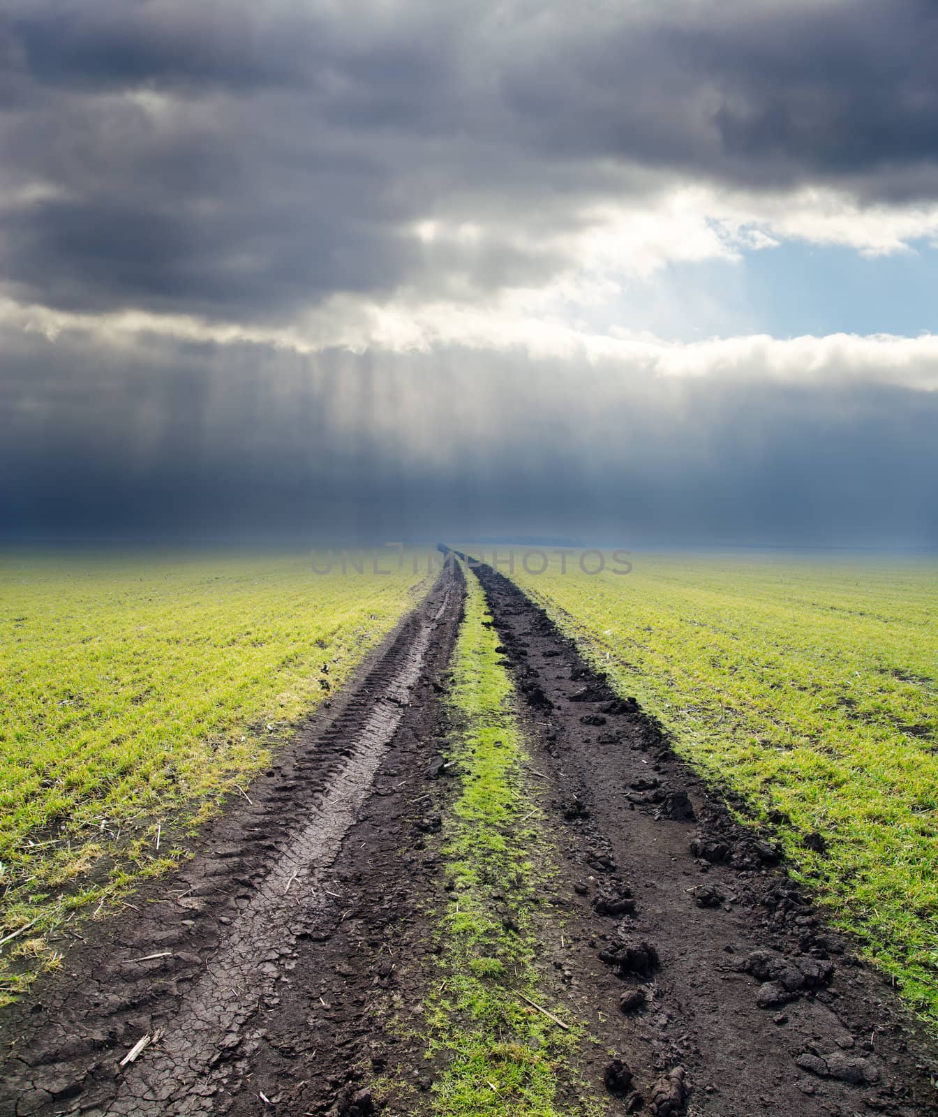 dirty road to cloudy horizon. rain before