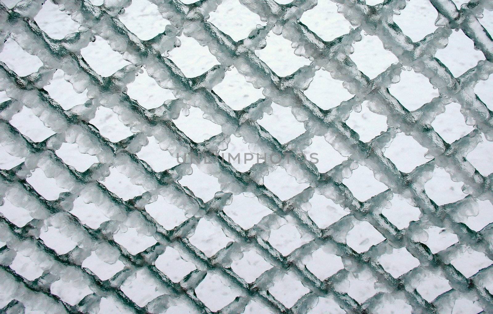 Lattice fence wholly in ice after winter storm