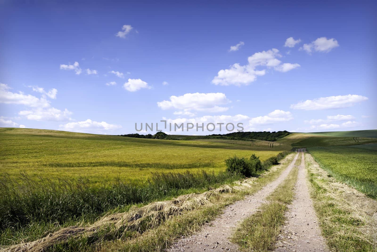 countryside landscape by gufoto