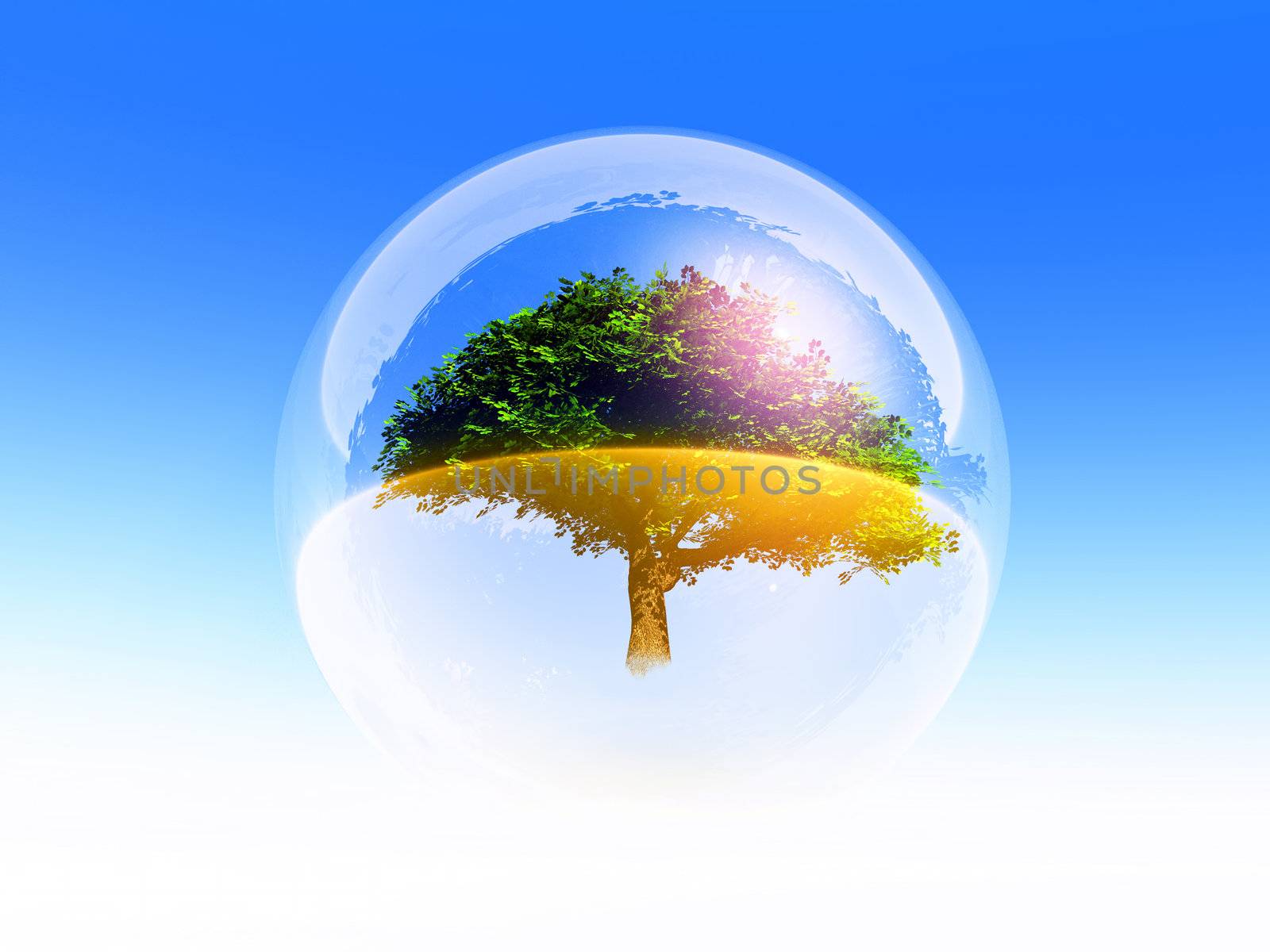 a bubble with a tree inside