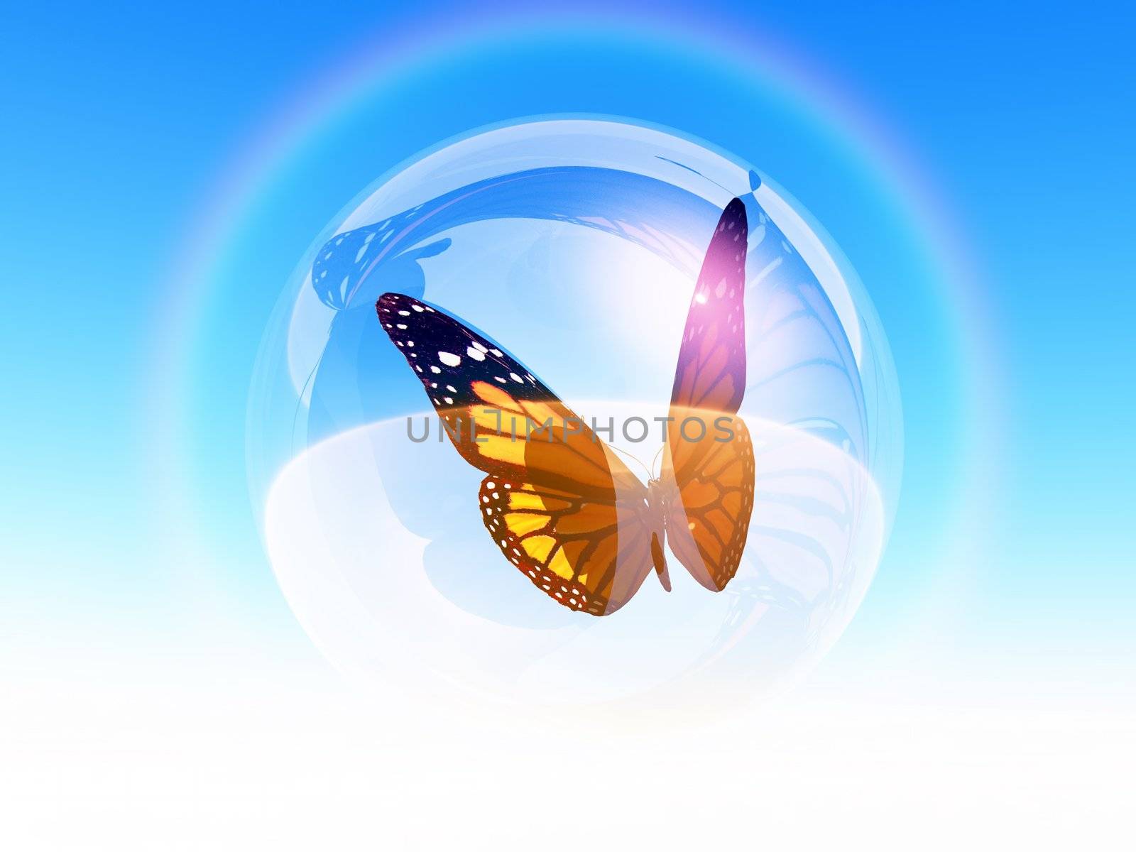 butterfly in bubble by gufoto