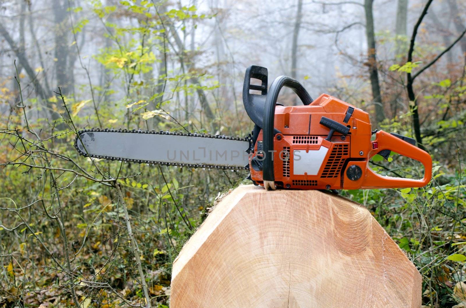 a chainsaw on a tree trunk