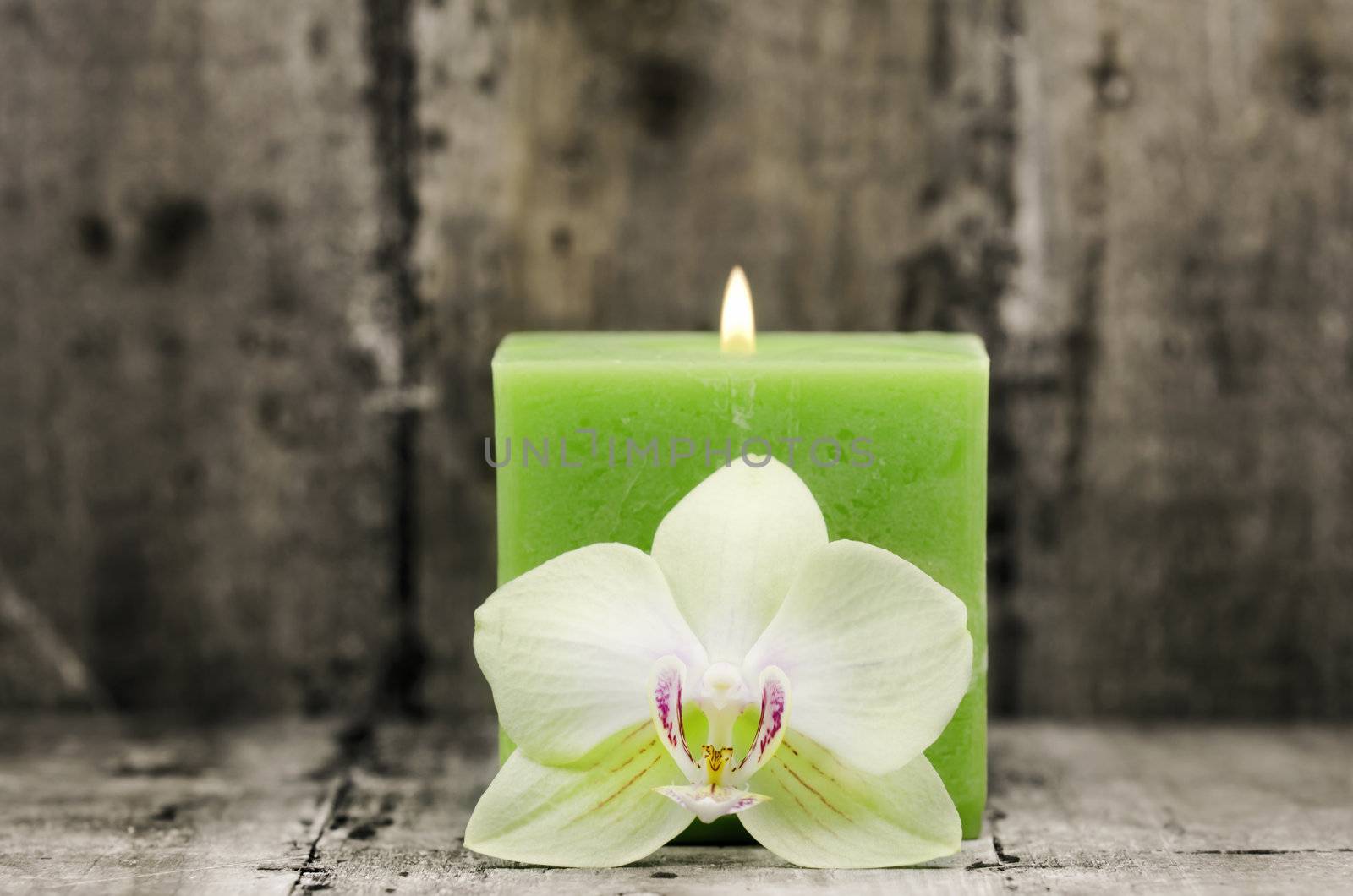an orchid flower with a green candle in the background