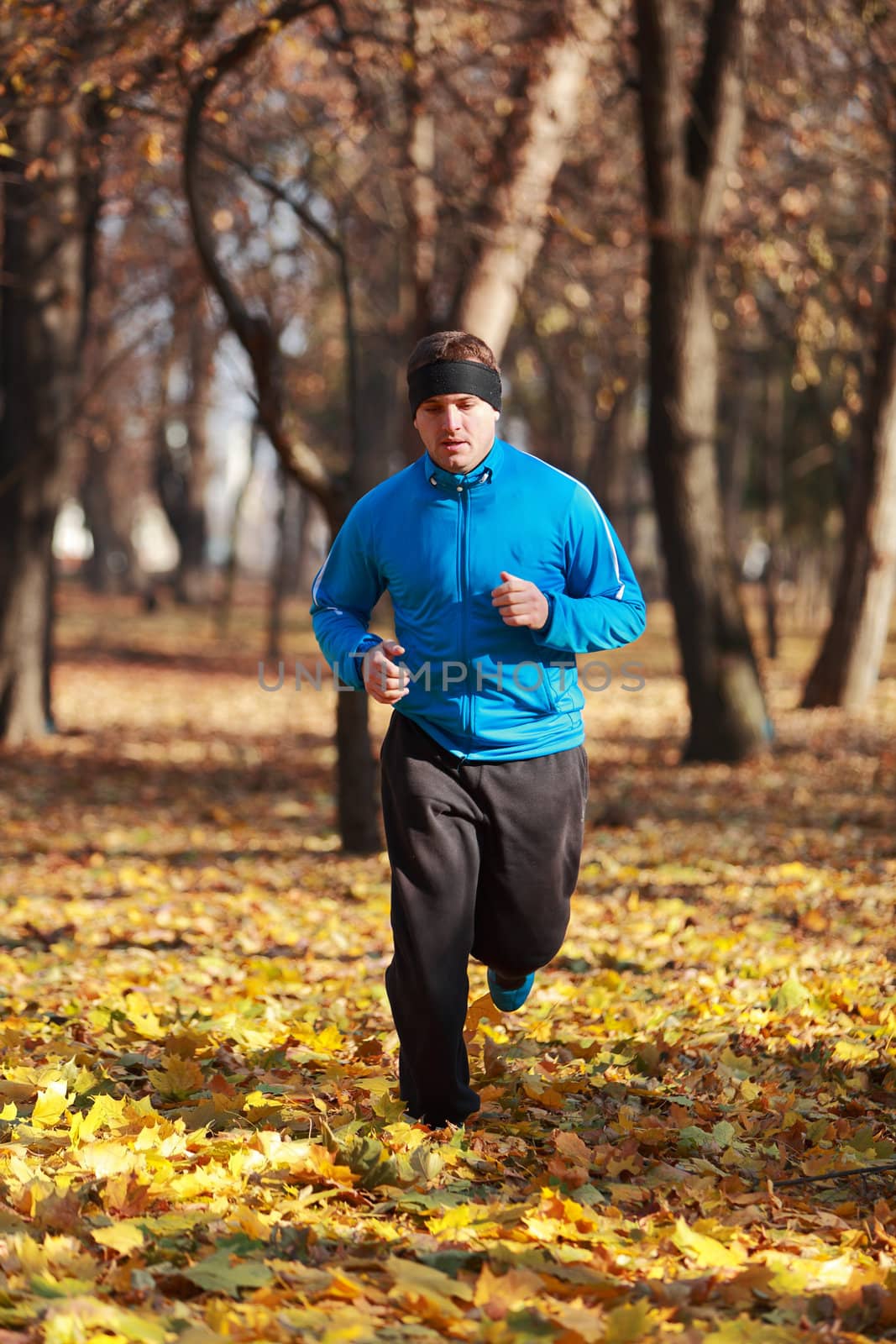 Man running in a forest in autumn.