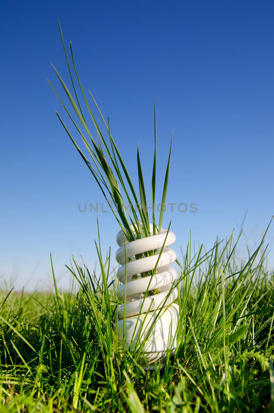 energy saving lamp in green field by mycola