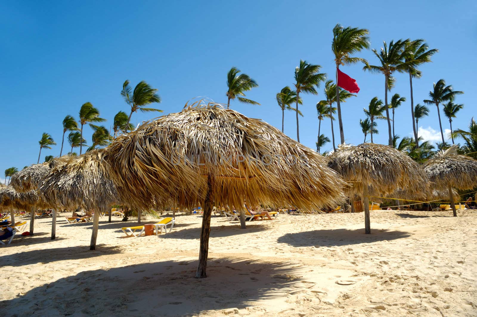 Parasols on beach by cfoto