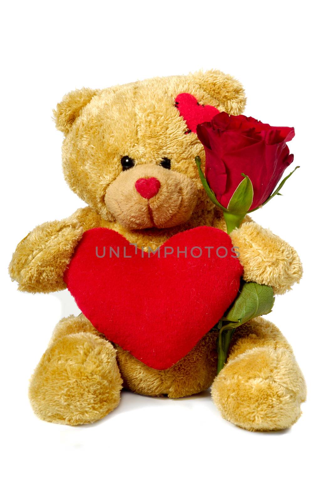 A sweet teddy bear is sitting on a white background holding a red rose flower and a red heart.
