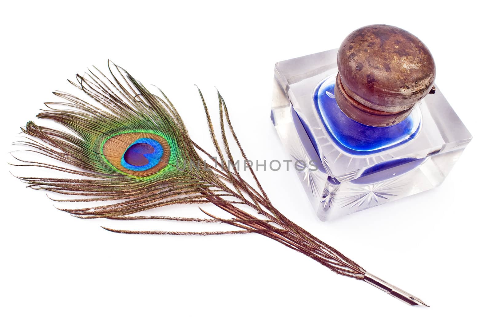 Peacock feather quill and inkwell isolated on white
