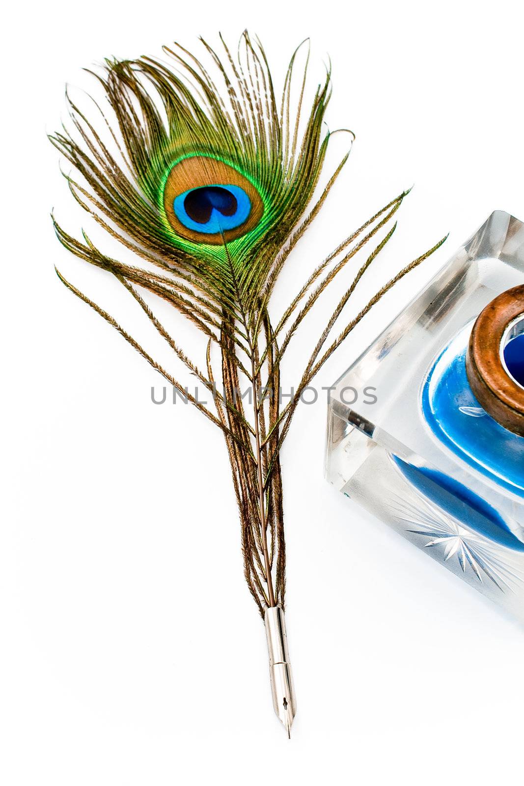 Peacock feather quill and inkwell isolated on white