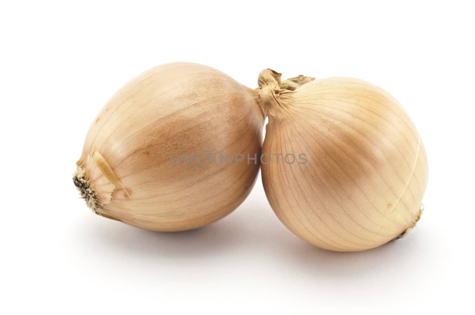 Photo of two onions on a white background