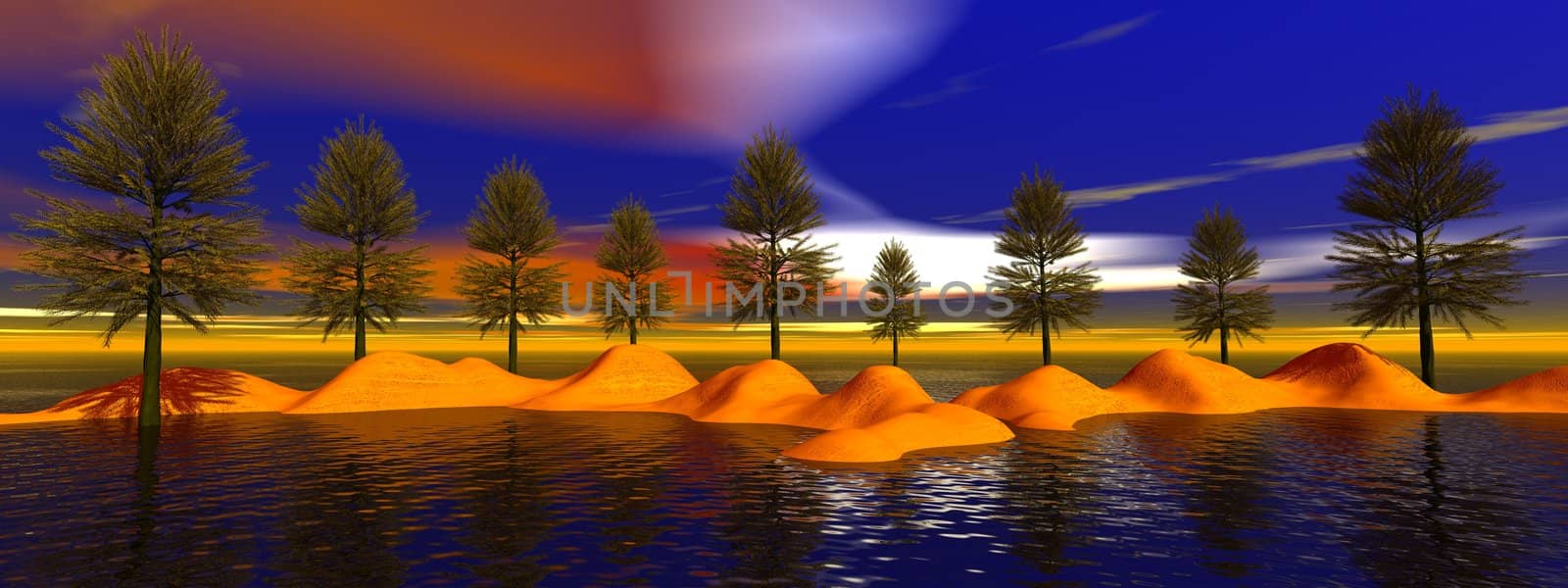 landscape fir trees and sky