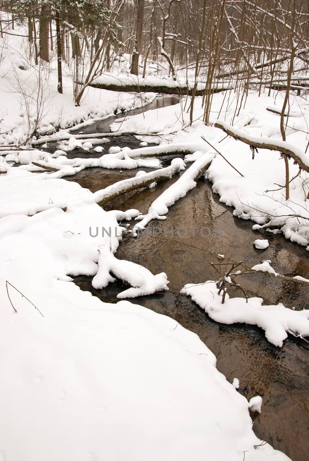 Flowing forest stream water in winter. Coast snow by sauletas