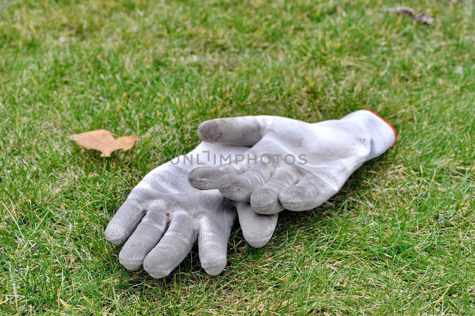 Dirty gardening gloves on the grass by anderm