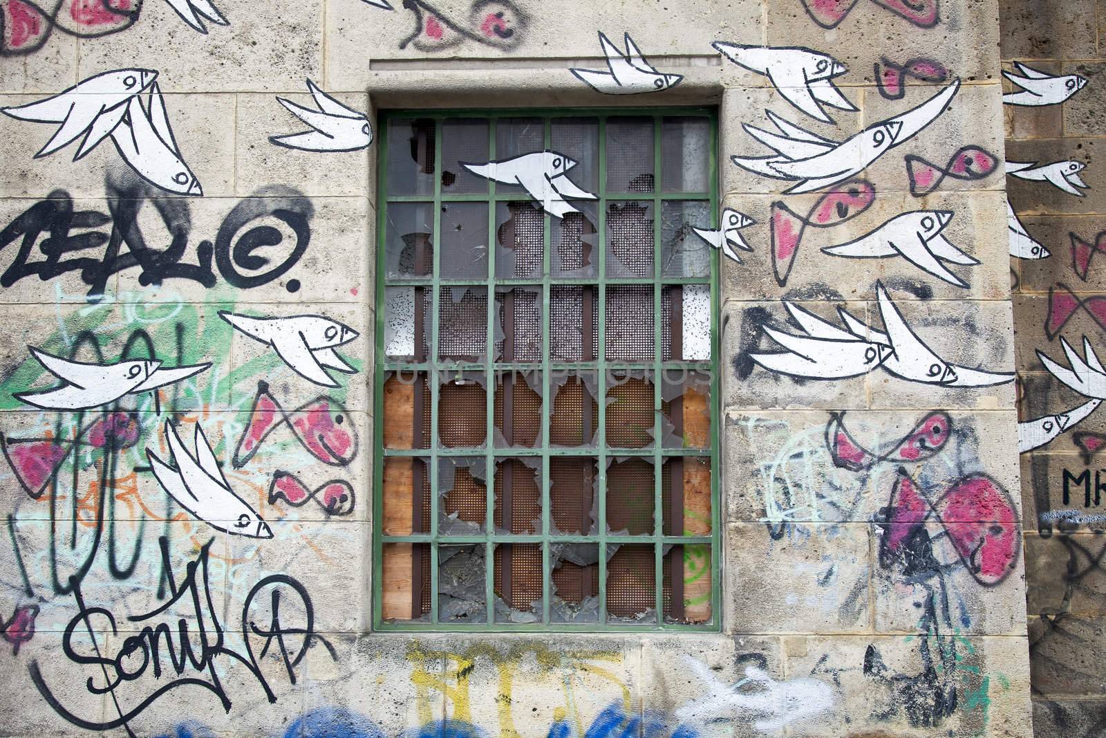 broken window in abandoned building covered with graffiti of birds