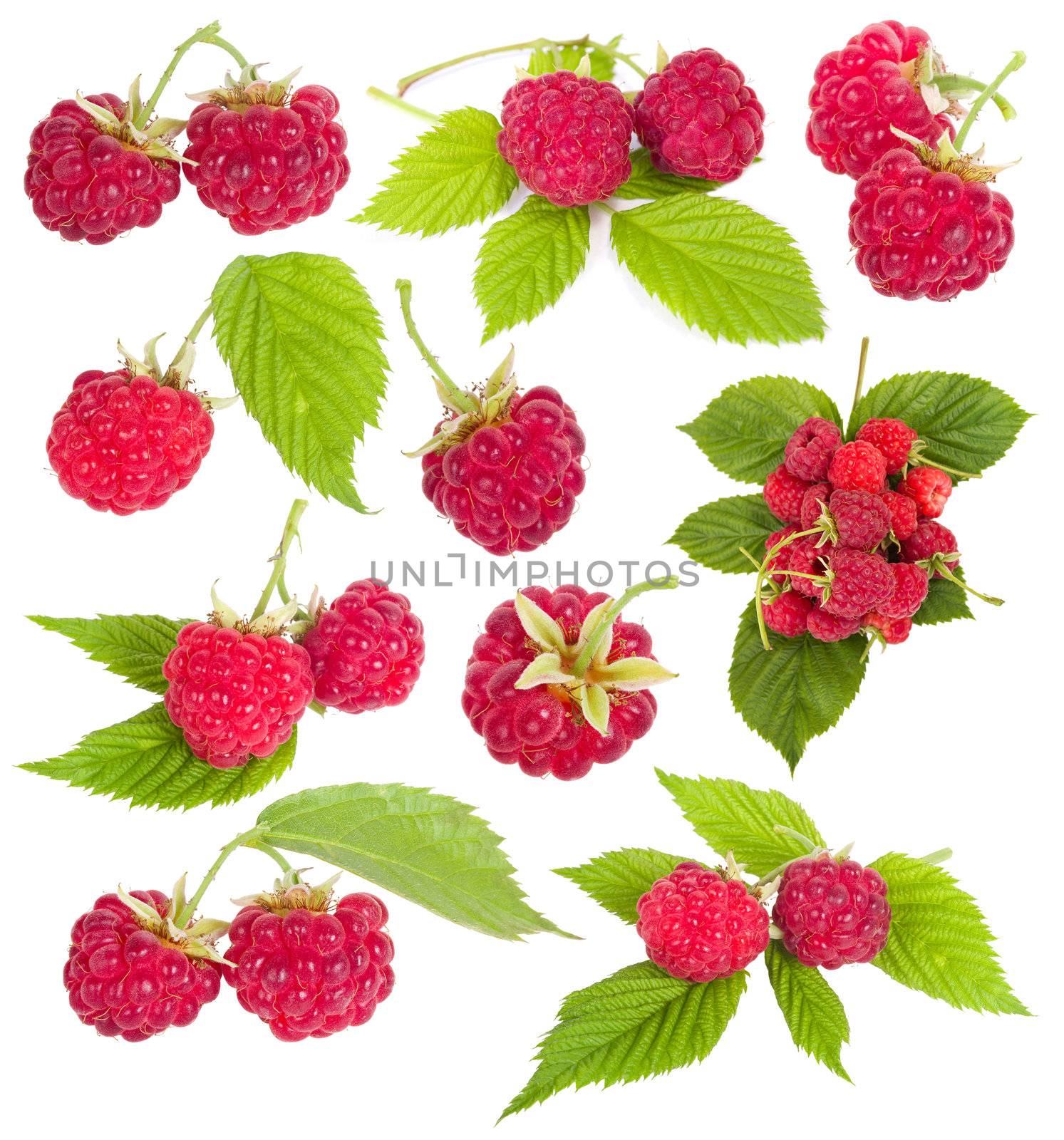 collection of ripe raspberries, isolated on white