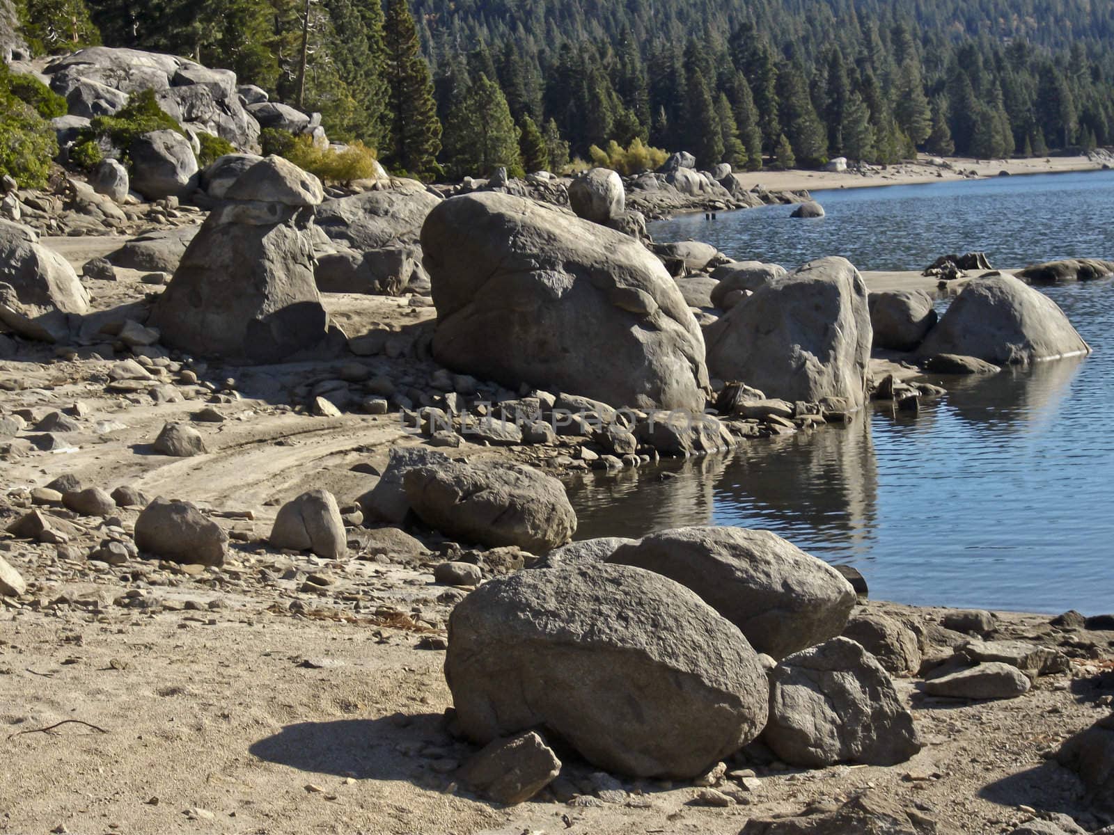 Boulders sun basking on the edge of a lake