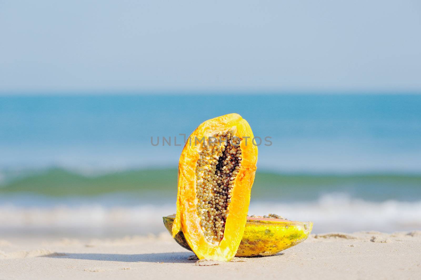 Tropical papaya on the sandy beach near sea