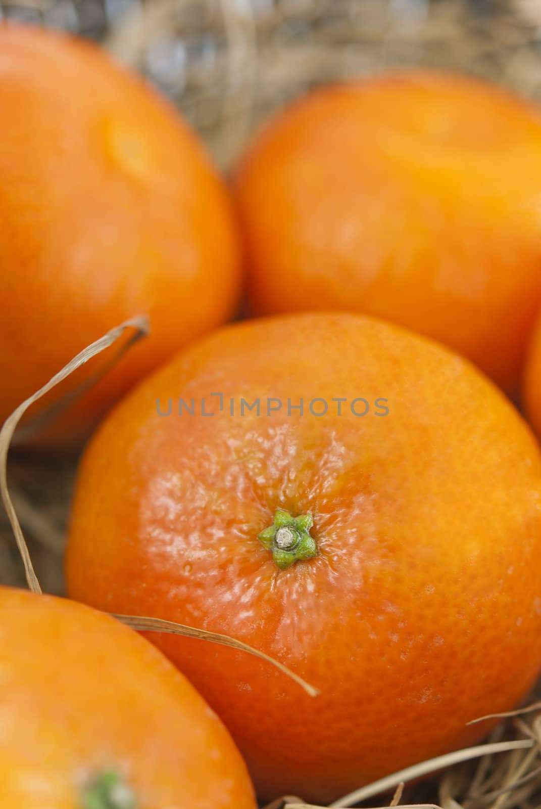 Close up of orange mandarins, straw background