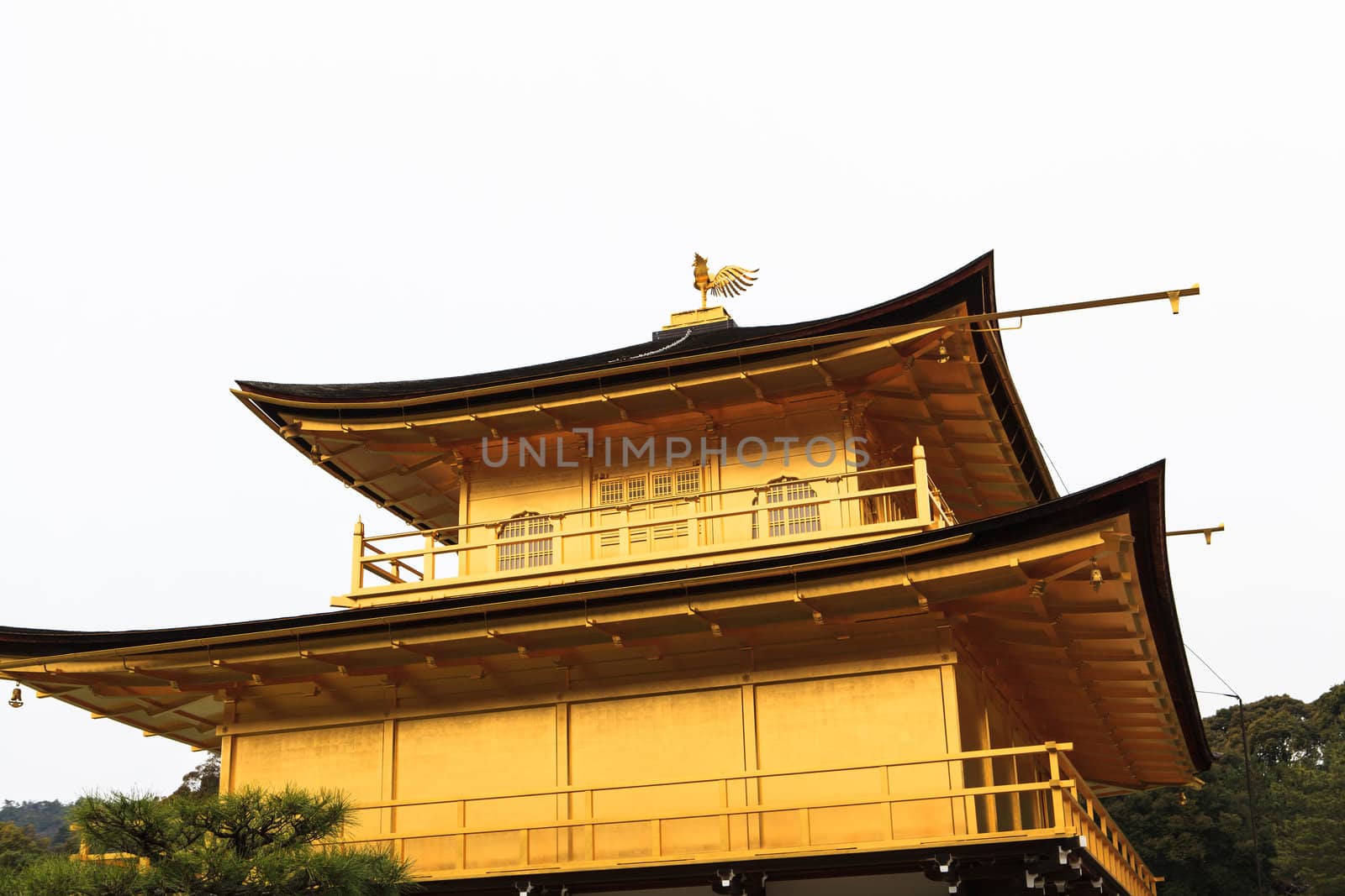 Kinkakuji Temple by thanomphong