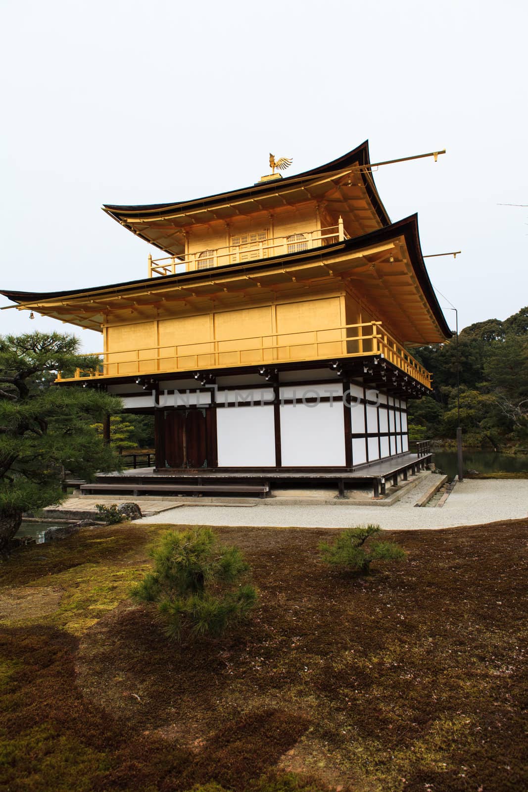 Kinkakuji Temple (The Golden Pavilion) in Kyoto, Japan
