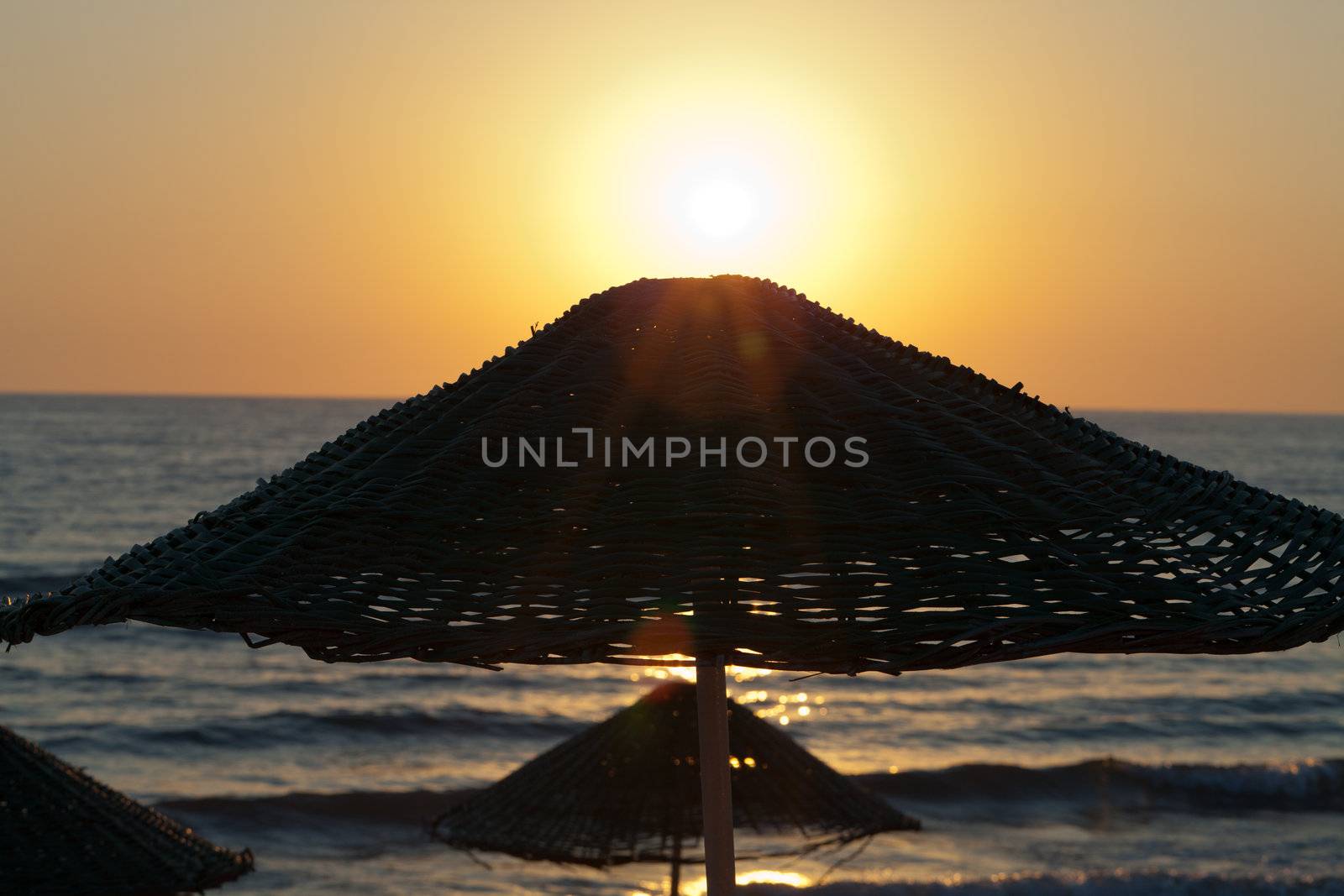  umbrellas on the beach