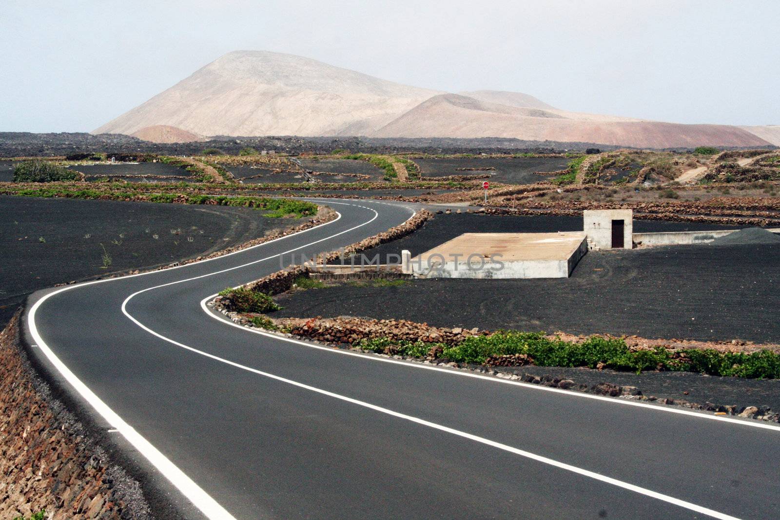 Road to volcanos, Lanzarote by adrianocastelli