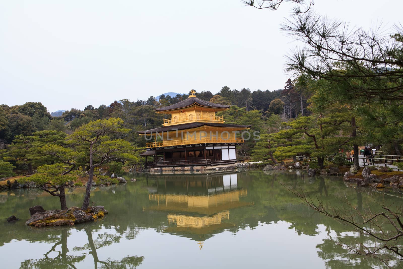 Kinkakuji Temple by thanomphong