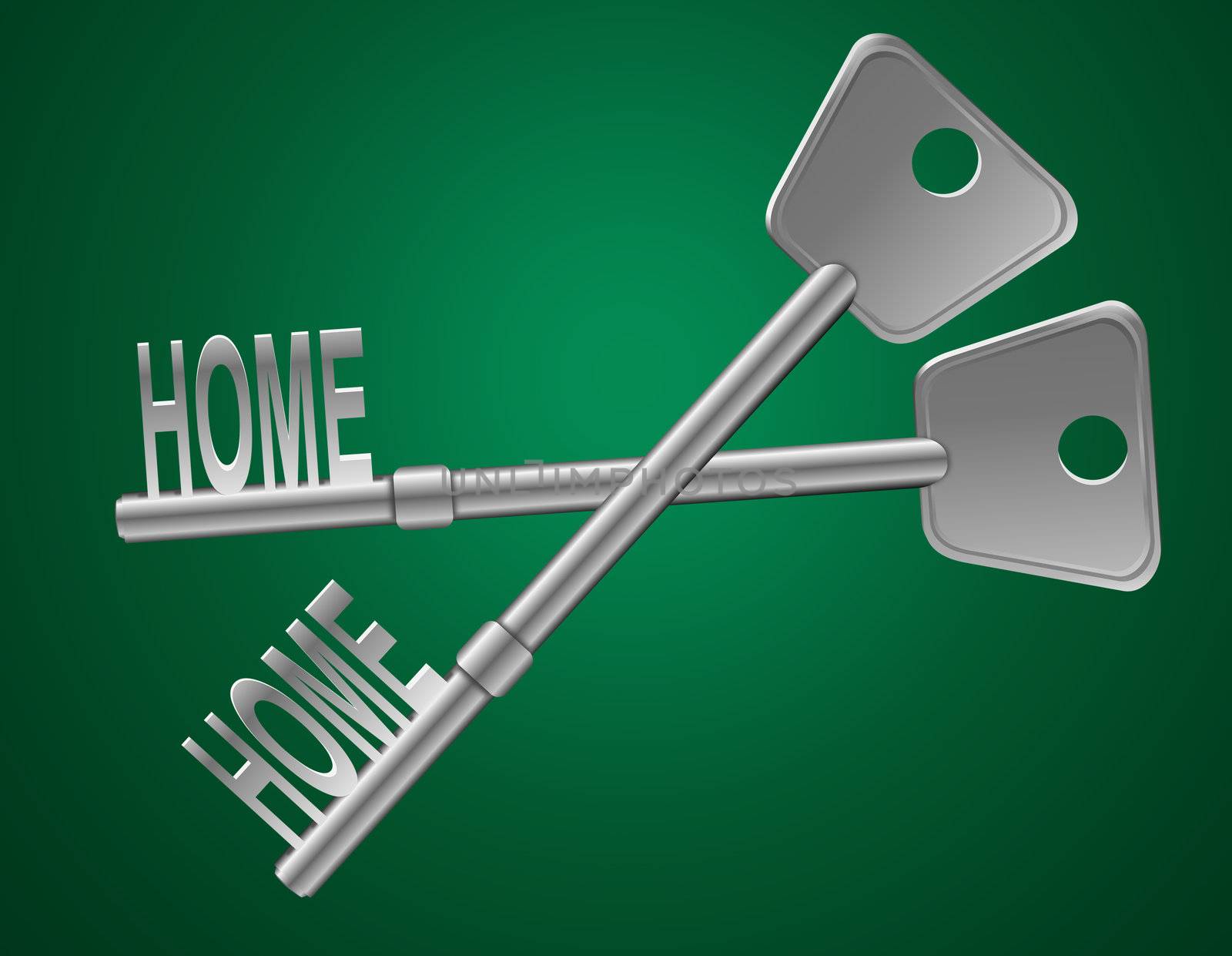 Illustration depicting two keys with a 'home' concept.Green background.
