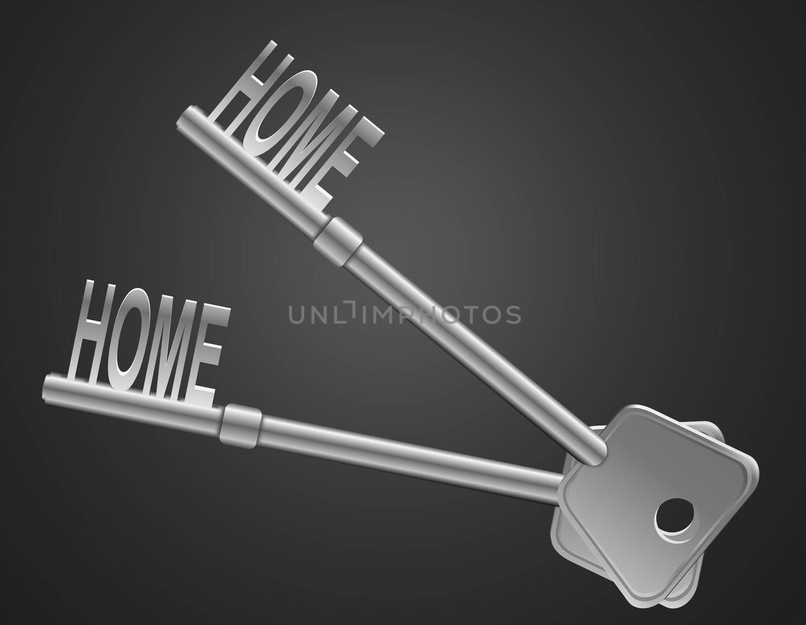 Illustration depicting two keys with a 'home' concept. Dark background.
