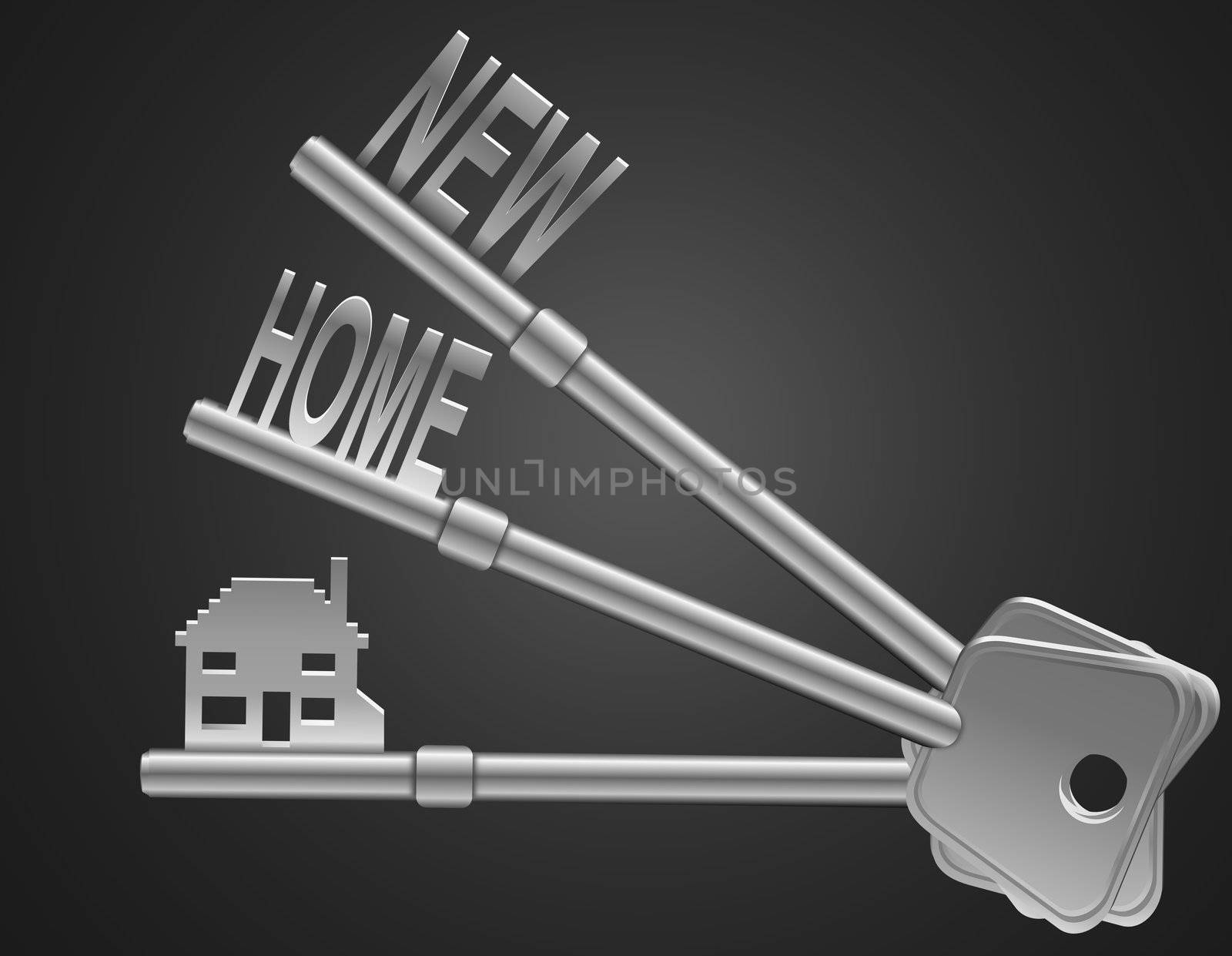 Illustration depicting two keys with a 'home' concept. Dark background.