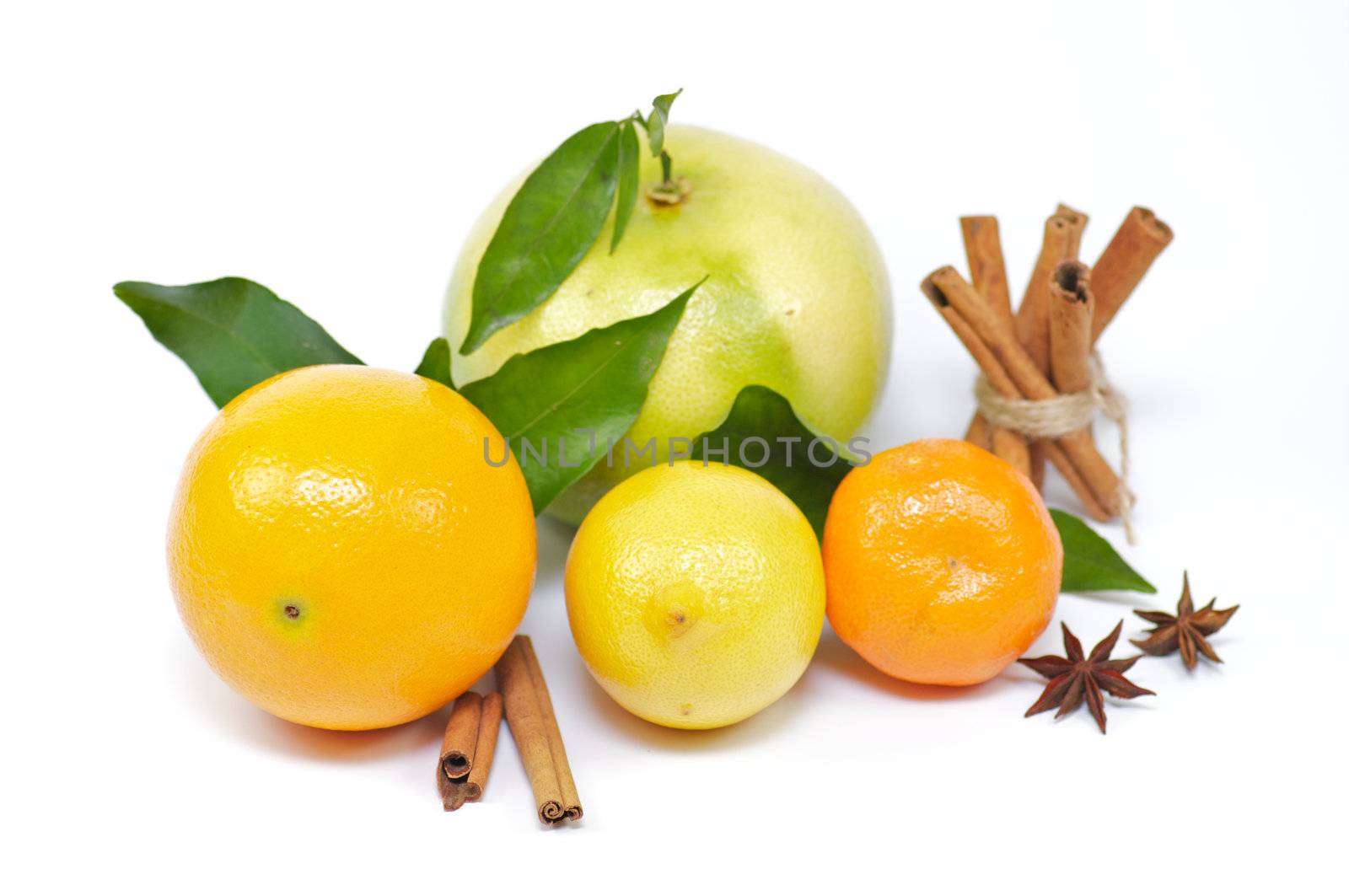 Citrus mix from orange, lemon, grapefruit and tangerine with cinnamon and anise