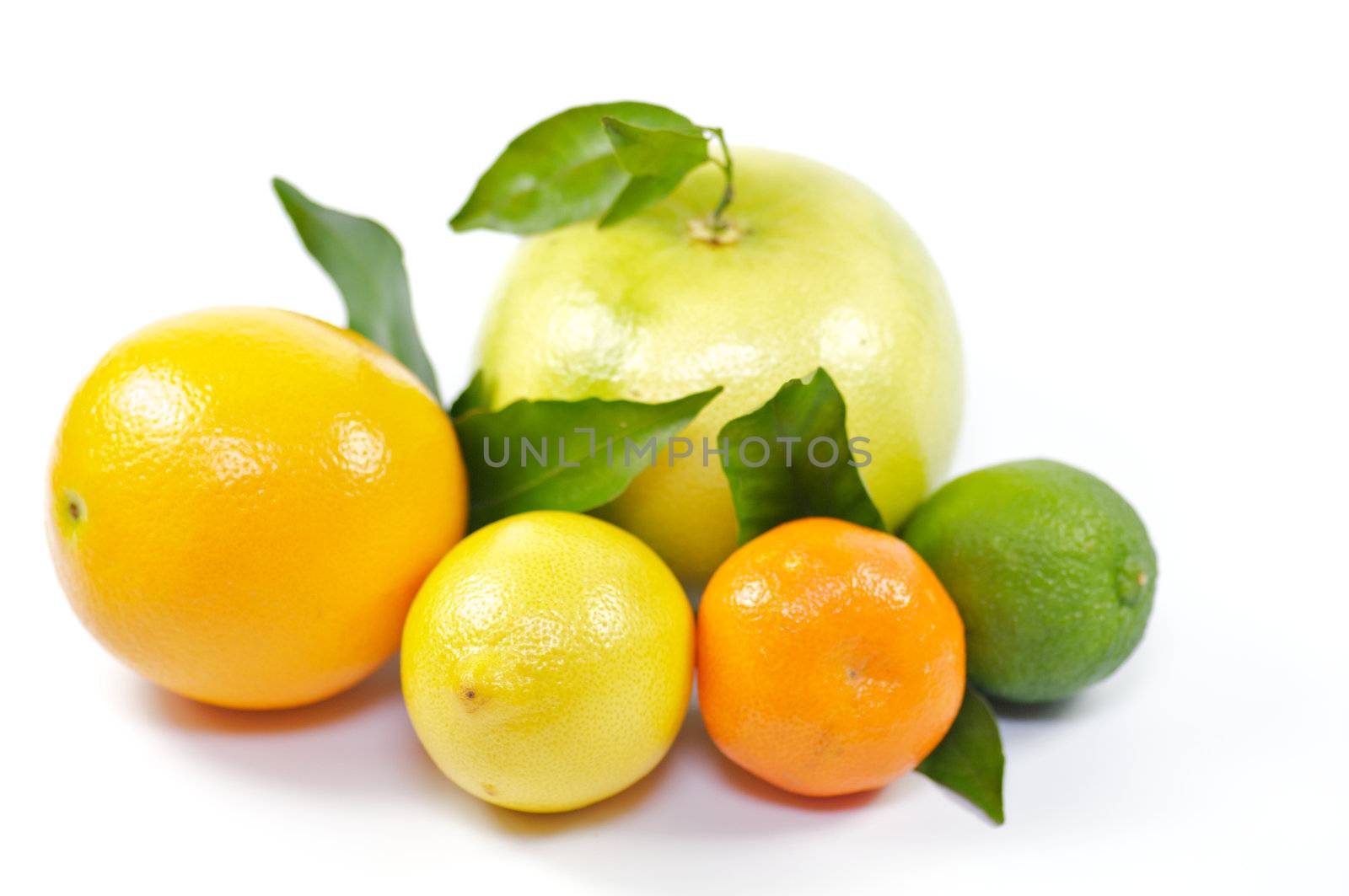 Citrus Mix by zhekos