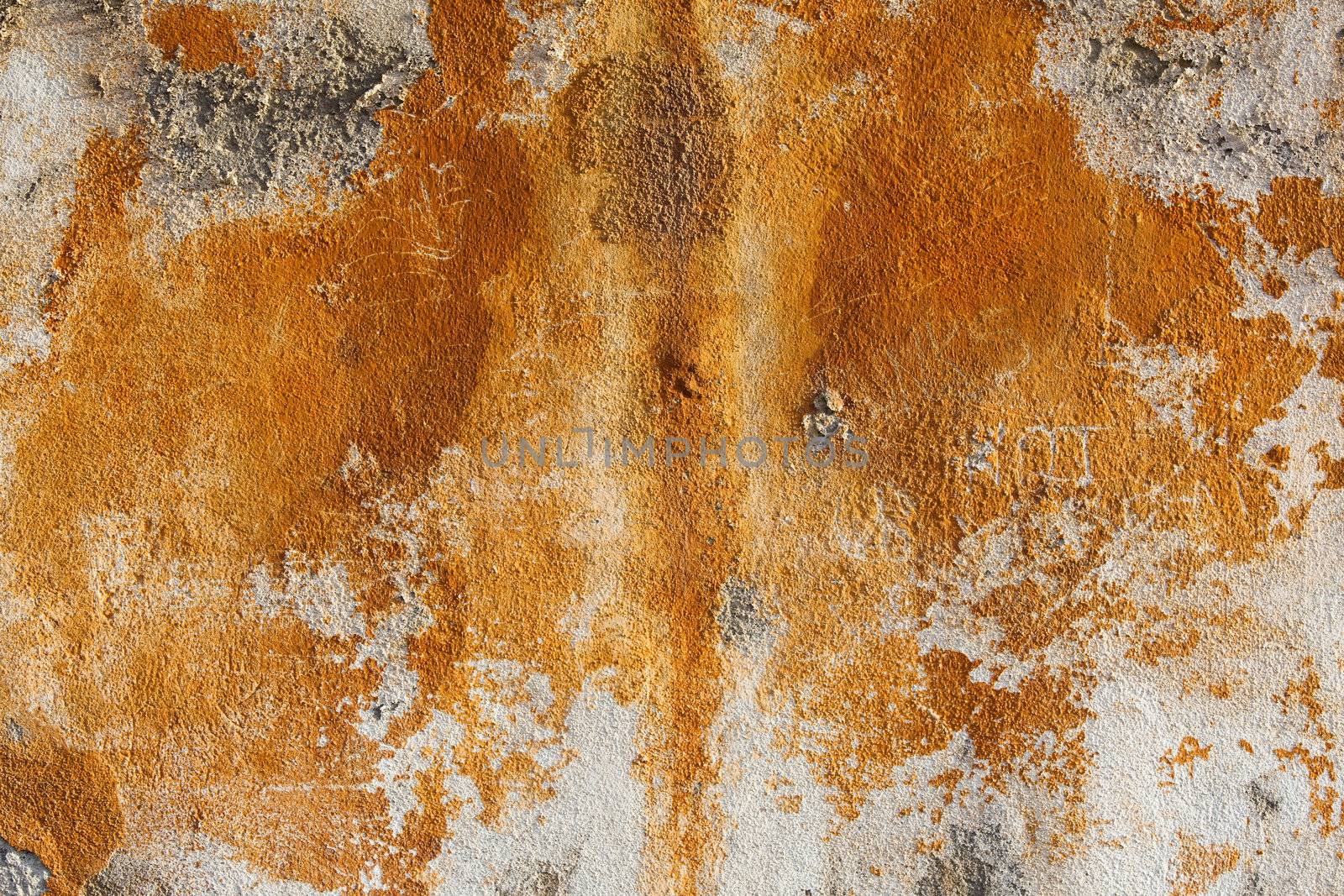 Great abstract background made with an old wall
